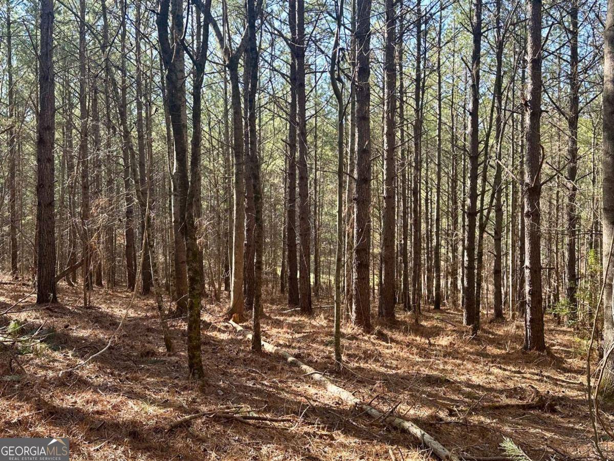 Dahlonega, GA 30533,5-/+ Patriot