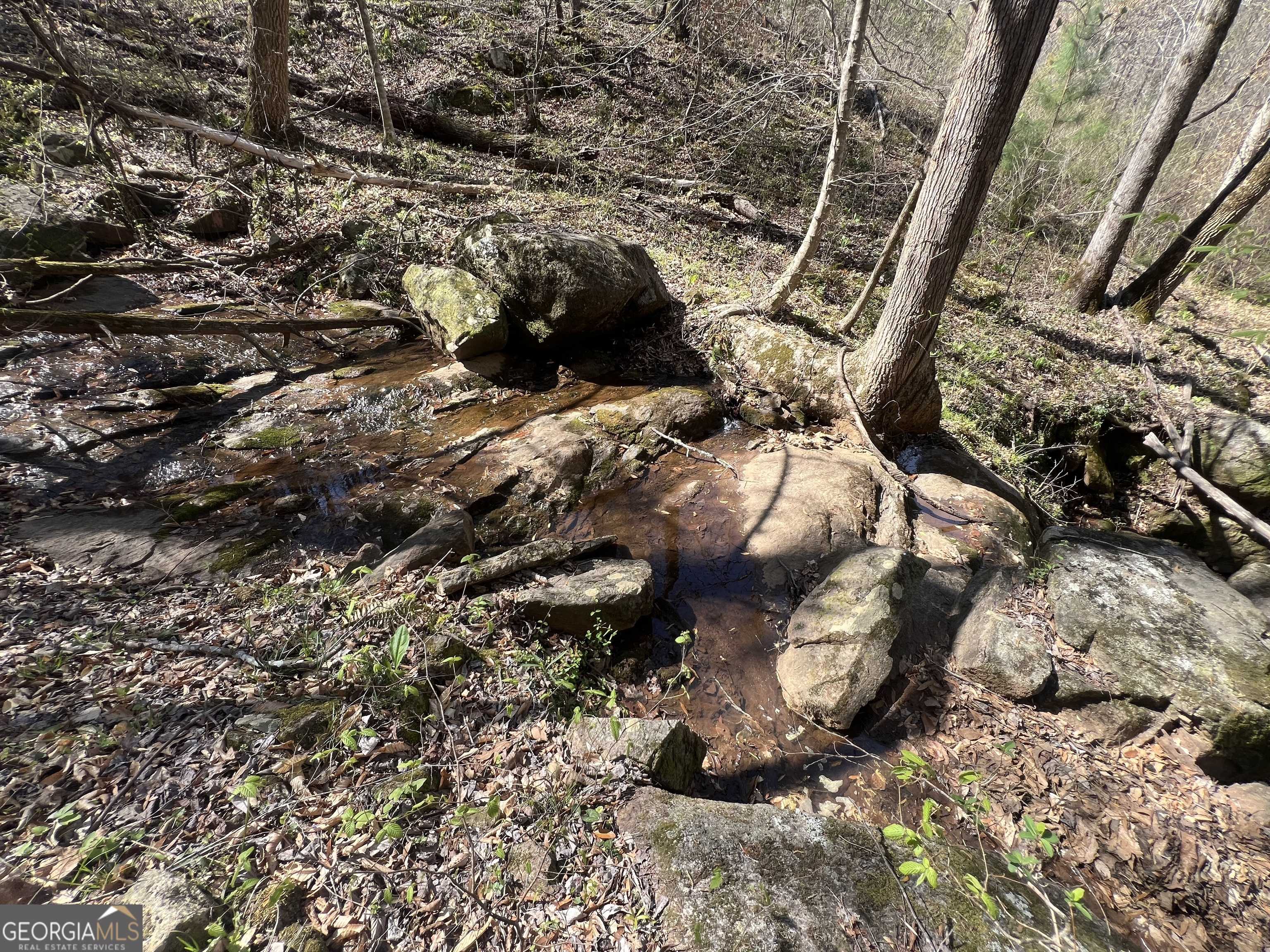Woodland, GA 31836,0 HWY 36 #LOT 2