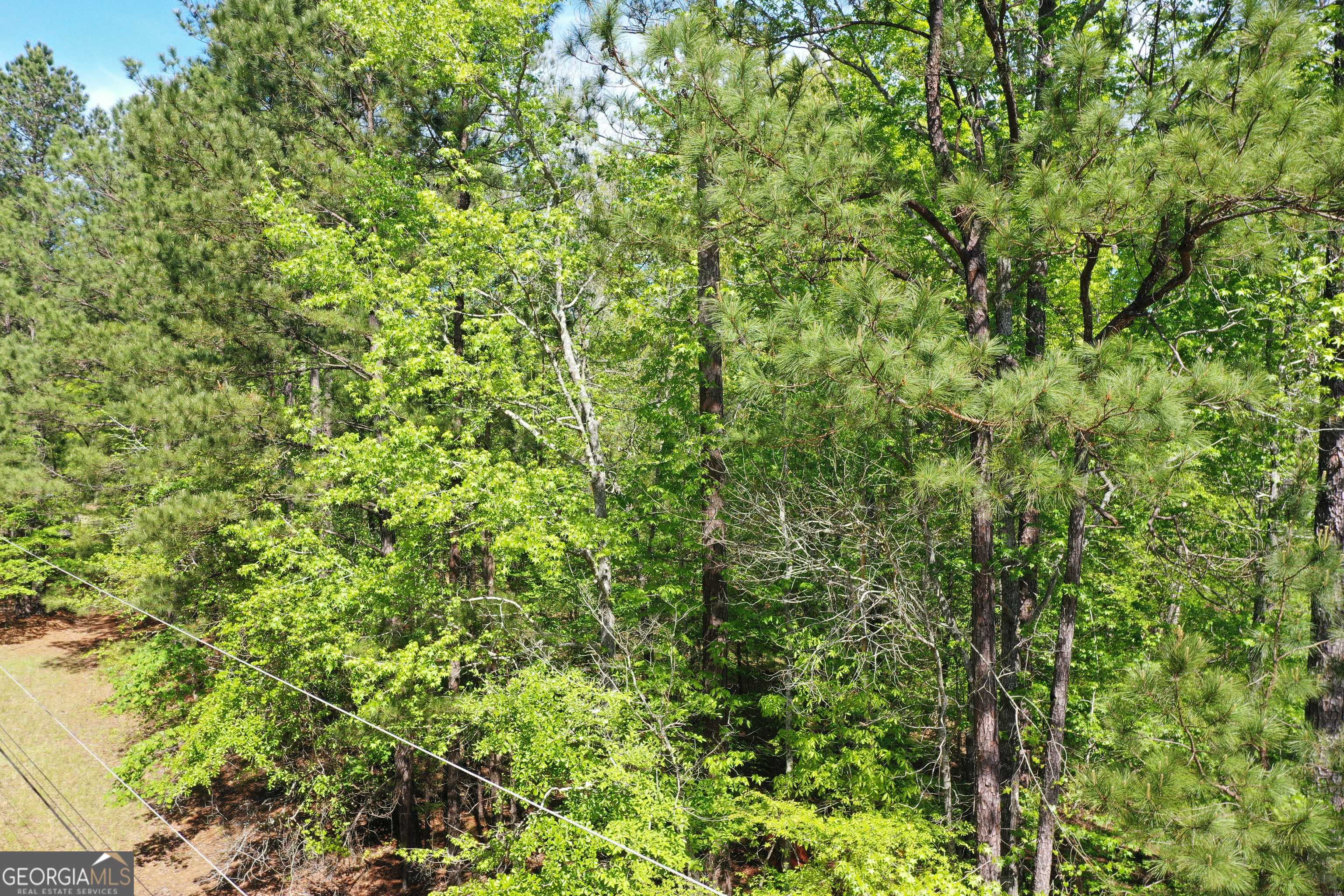 Sparta, GA 31087,0 Frontiers DR #LOT 29