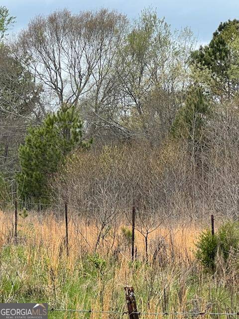 Hartwell, GA 30643,0 Holly ST