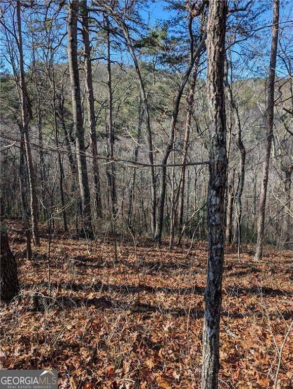 Ranger, GA 30734,1400 Foxhound TRL NE