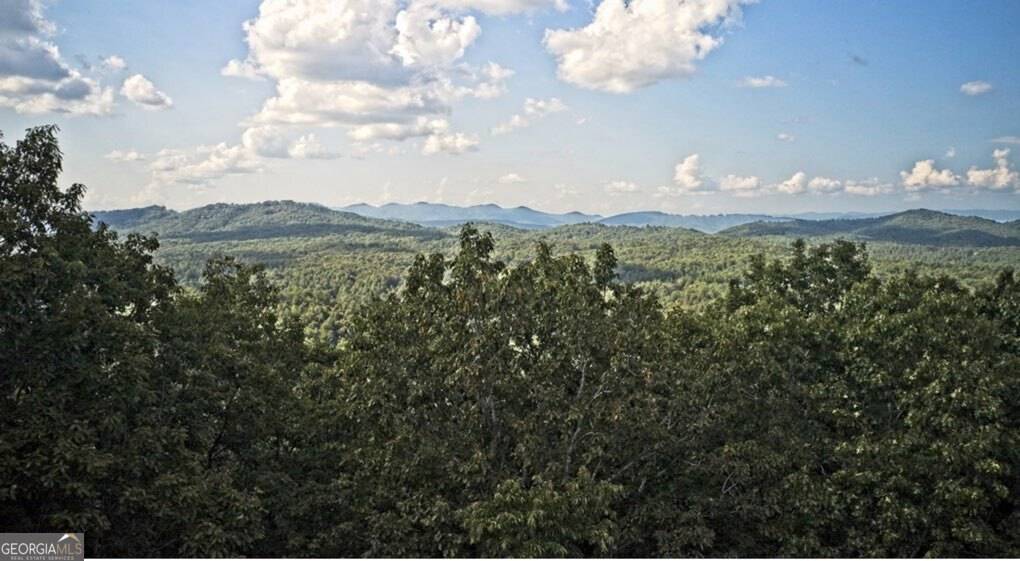 Morganton, GA 30560,6.51 High Country LN #11