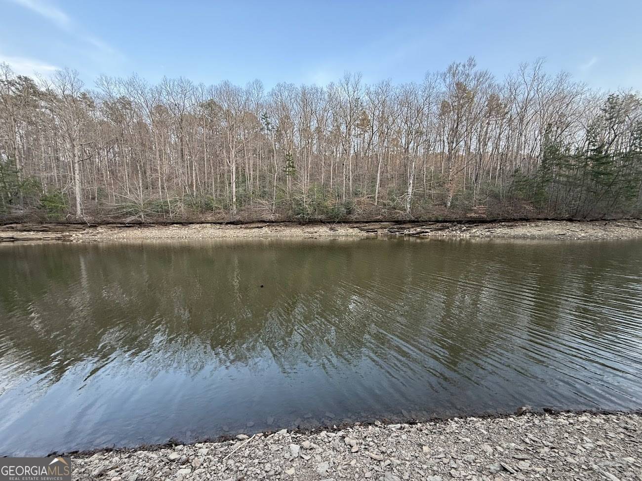 Wedowee, AL 36278,0 Lot 10 Luther DR