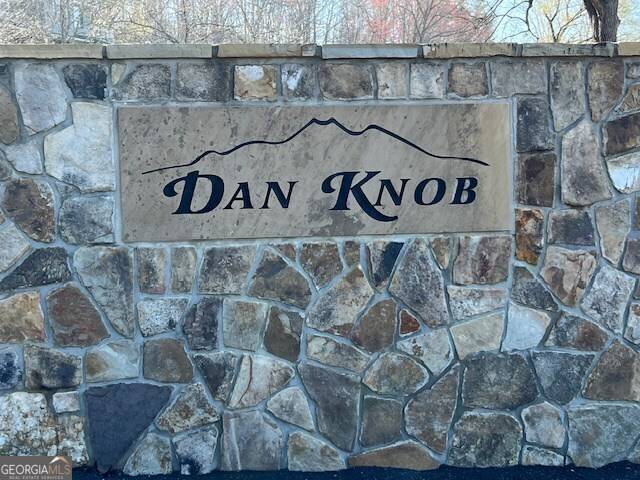 Hayesville, NC 28904,LOT 54 Dan Knob