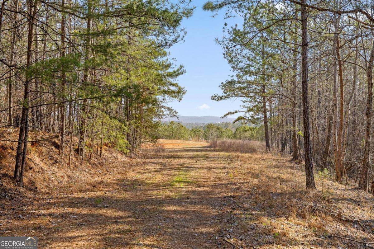 Talking Rock, GA 30175,3 Carver Mill RD