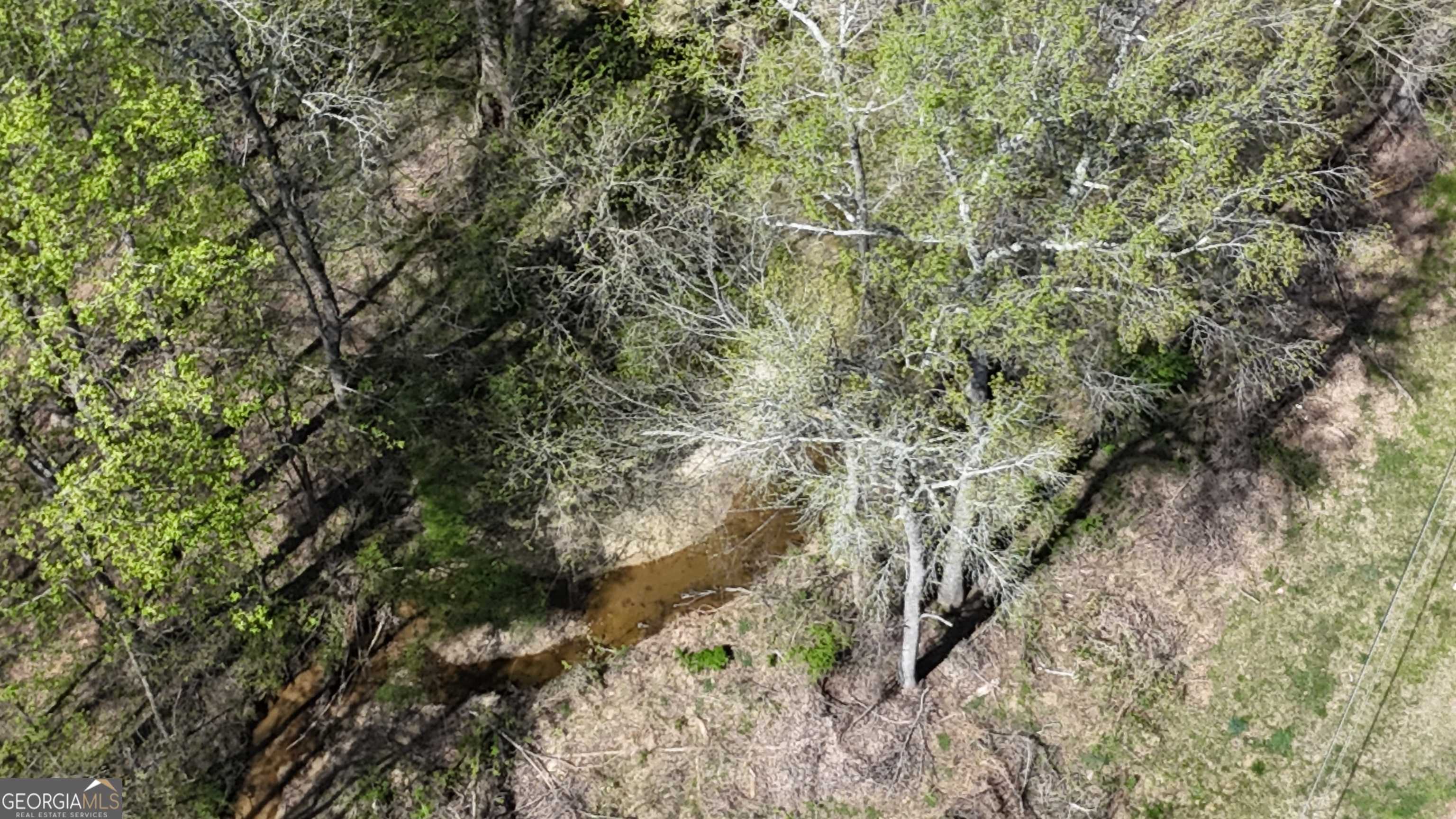Colbert, GA 30628,668 Forest LN