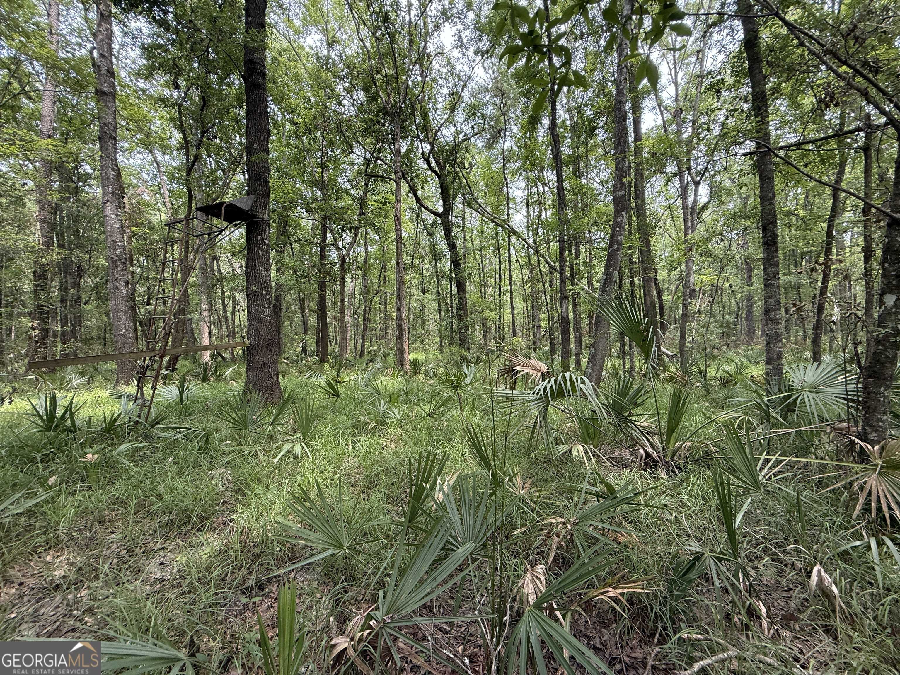 Townsend, GA 31331,27 ACRES W S Highway 17