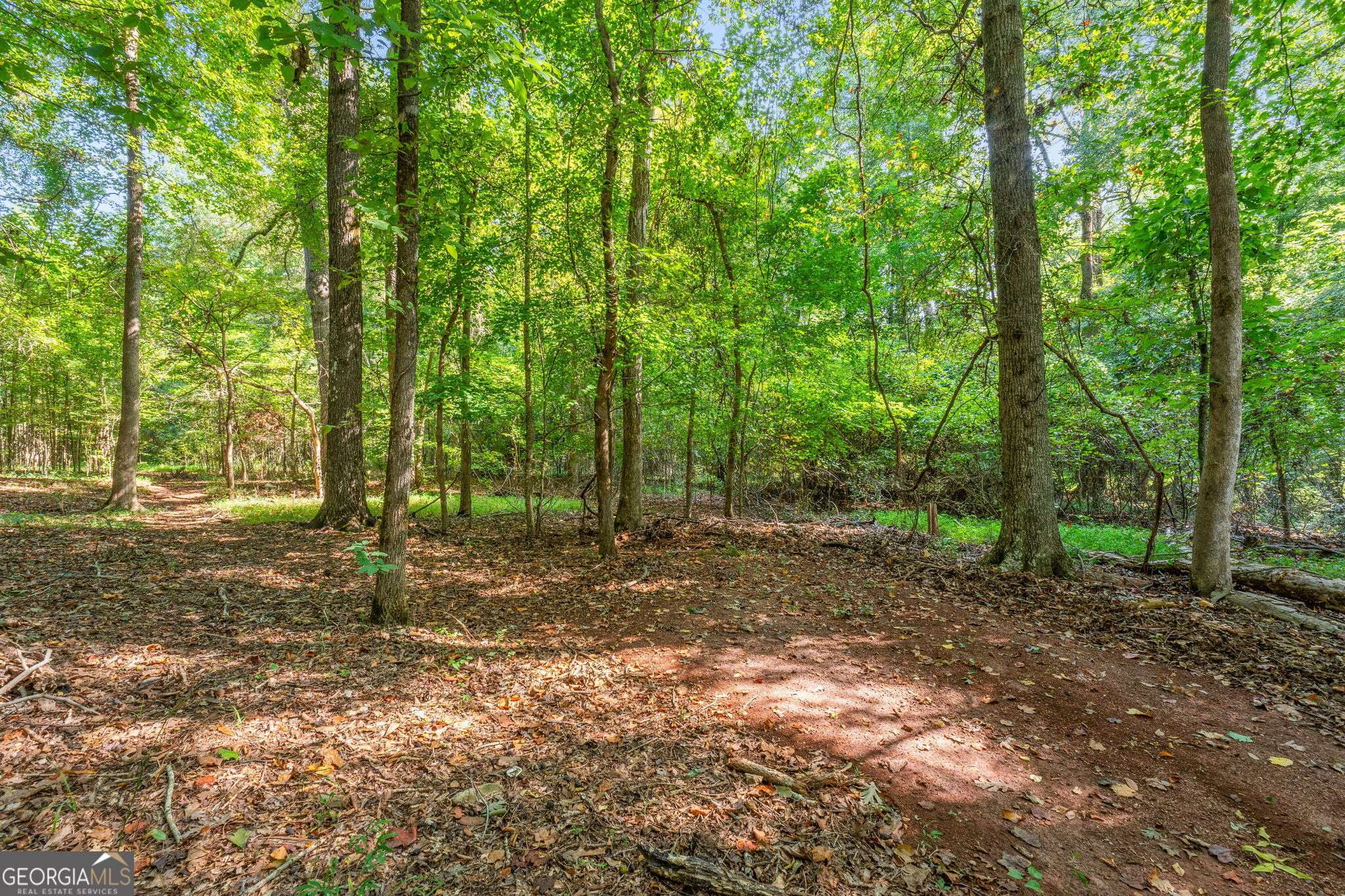 Fayetteville, GA 30215,170 Reynolds PL