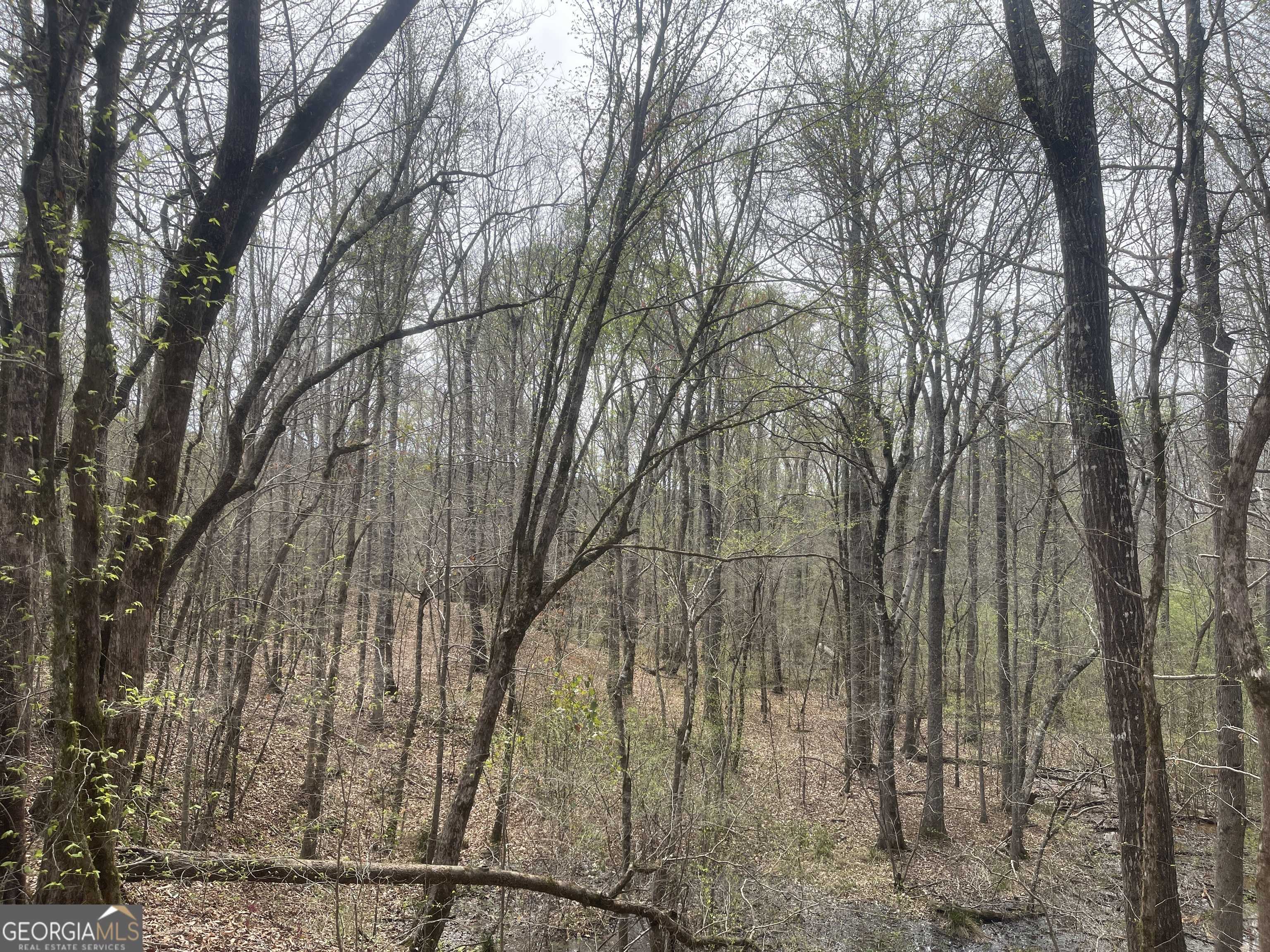 Franklin, GA 30217,0 Bevis Rd Parcel 4