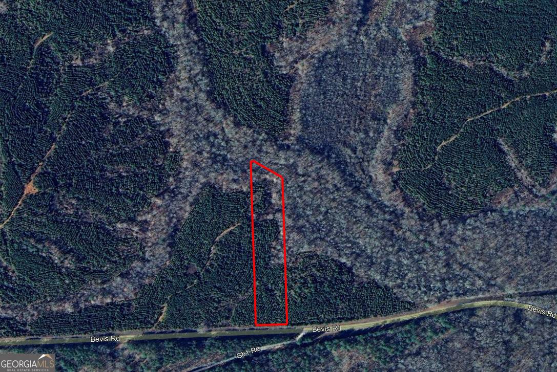 Franklin, GA 30217,0 Bevis Rd Parcel 4