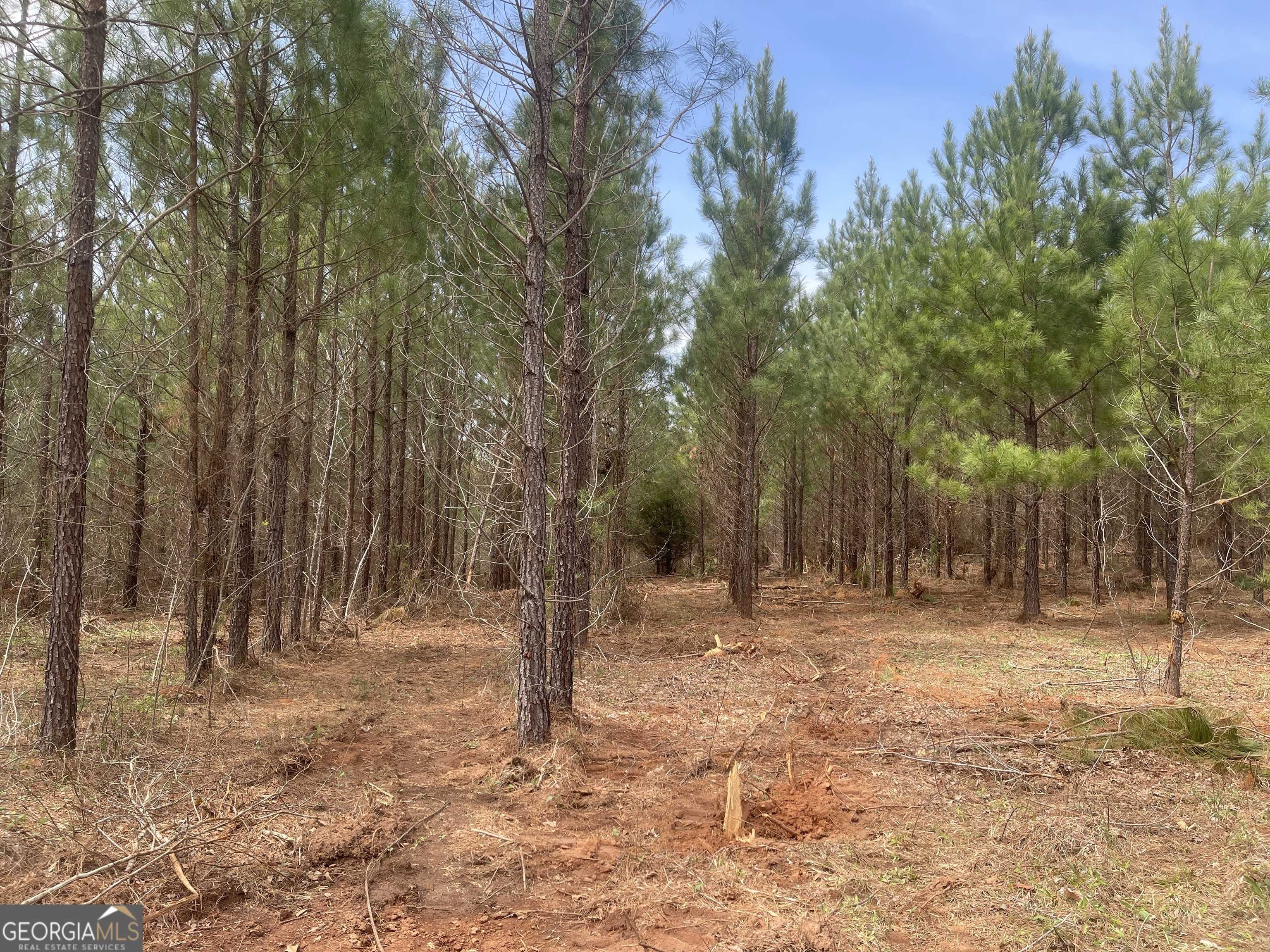 Franklin, GA 30217,0 Bevis Rd Parcel 4