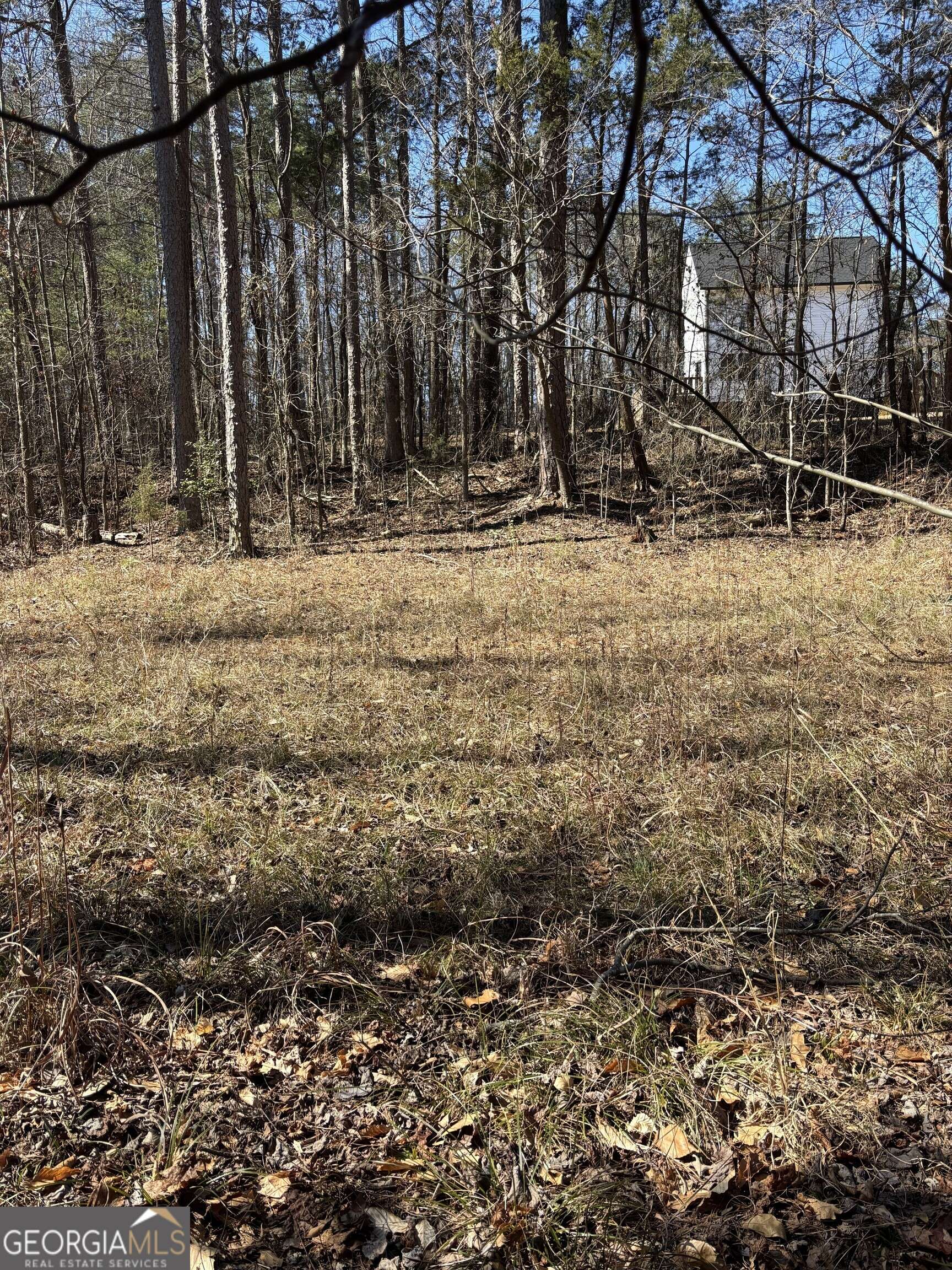Lavonia, GA 30553,0 Skyline WAY
