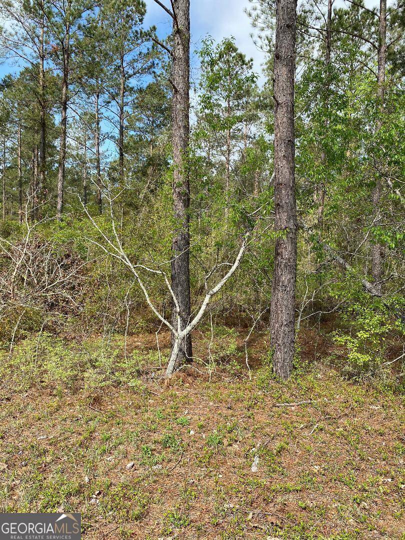 Swainsboro, GA 30401,LOT 6 Kemp Road