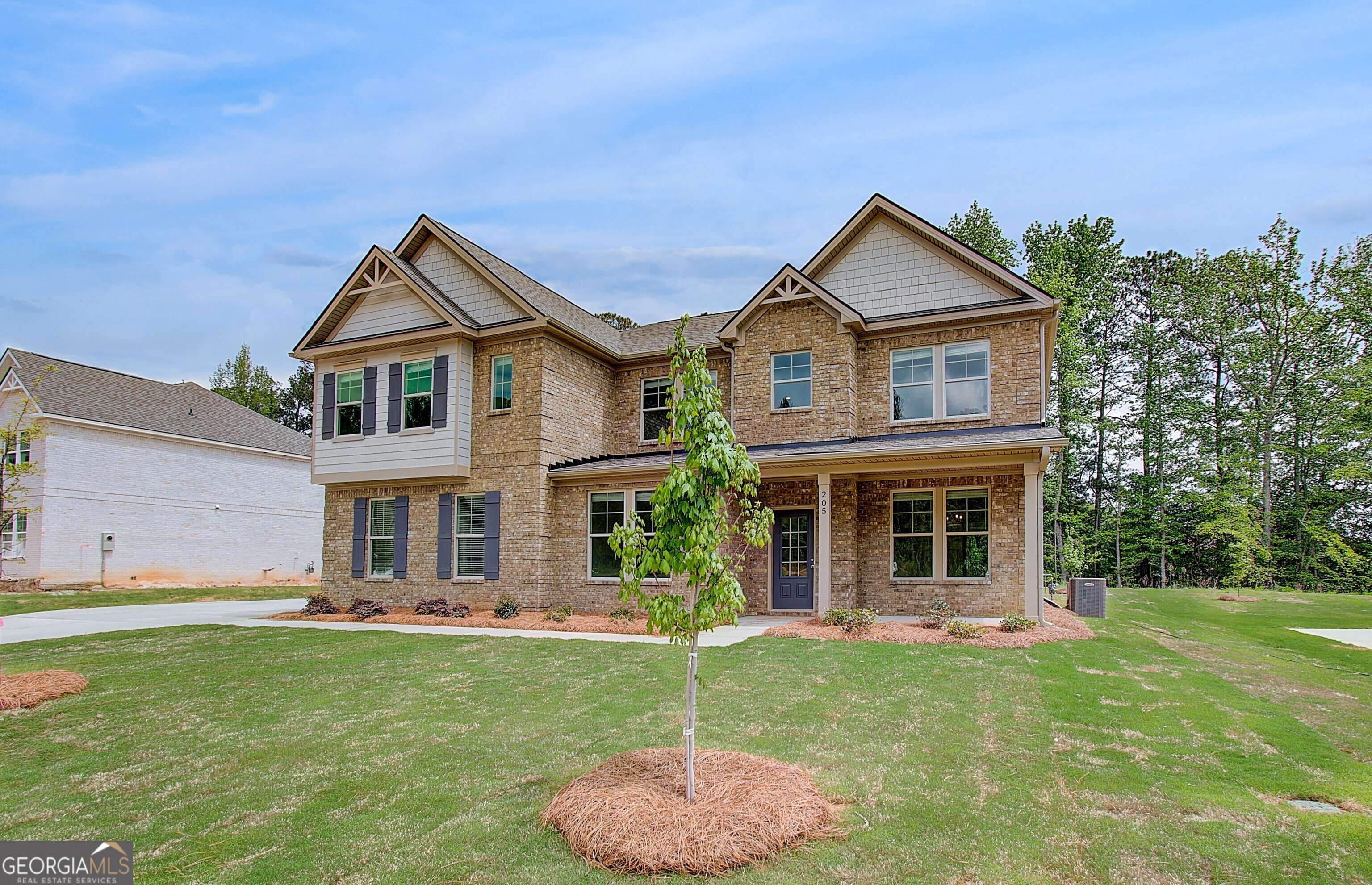 Hampton, GA 30228,205 Haverling PASS