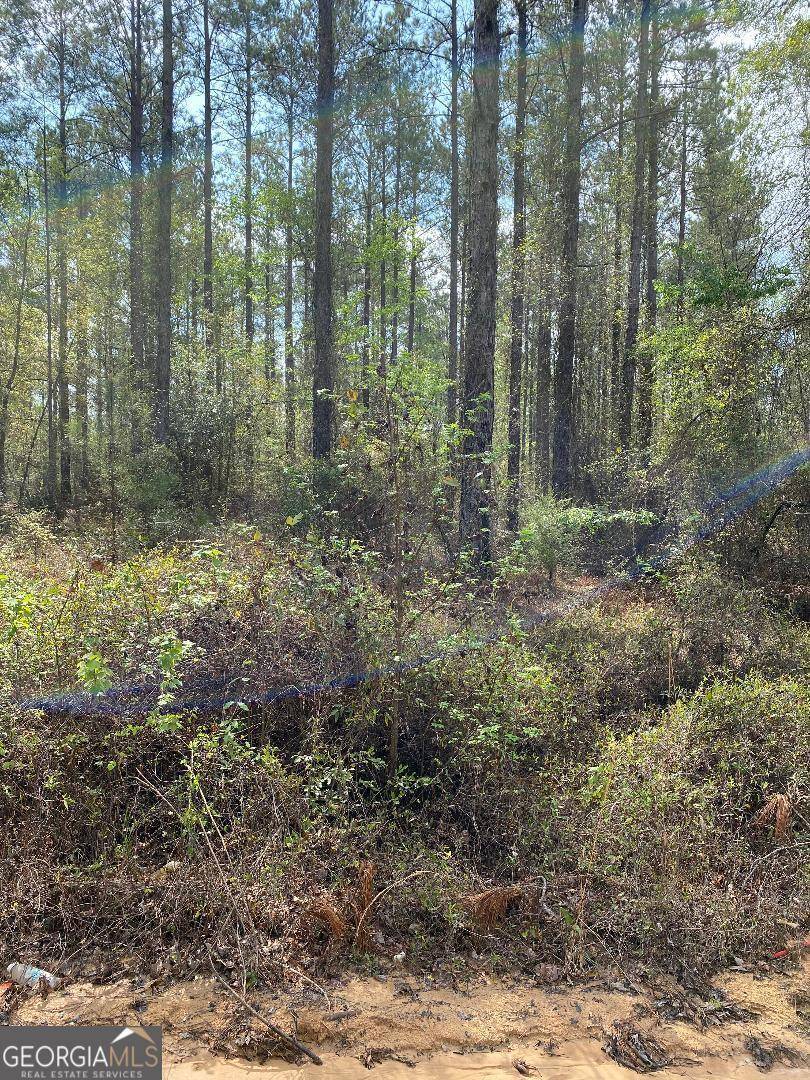 Swainsboro, GA 30401,LOT 4 Coleman Chapel Road