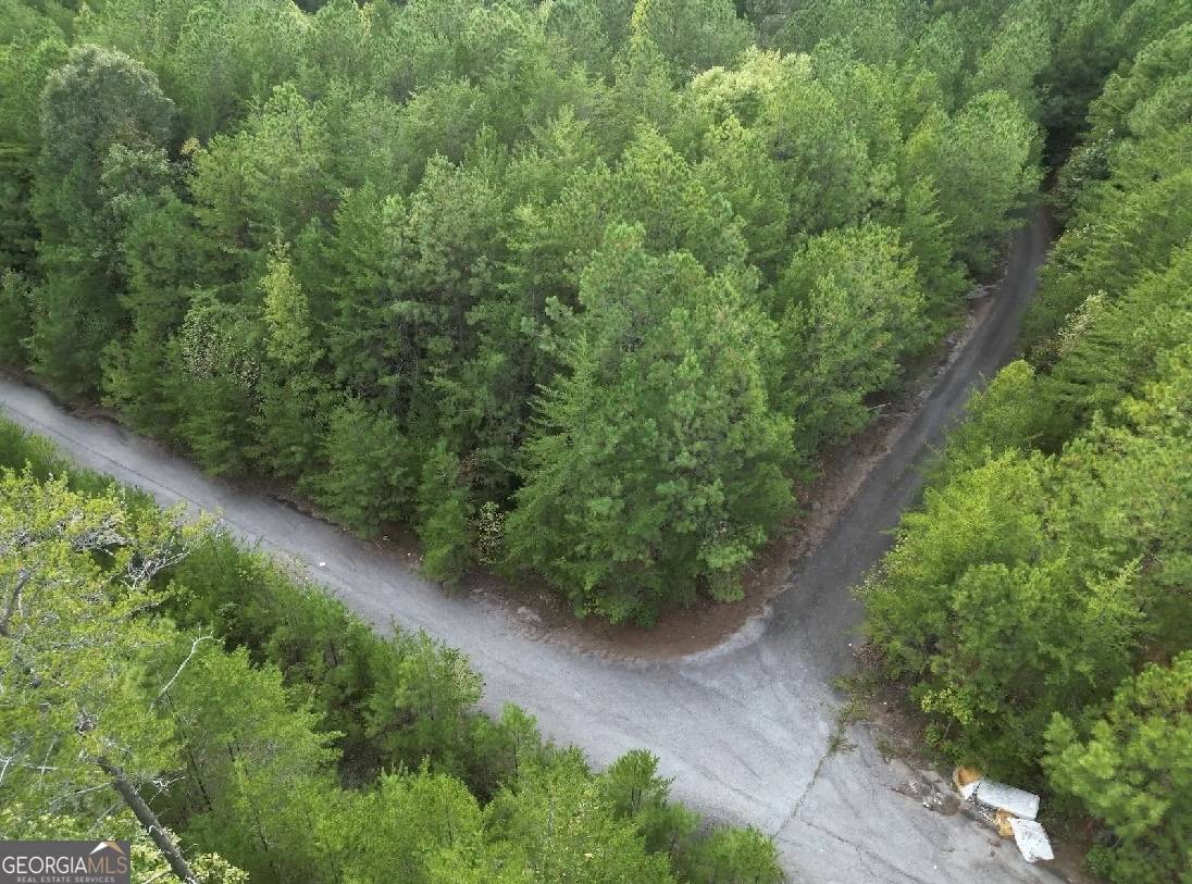Braswell, GA 30153,53 Skyline DR
