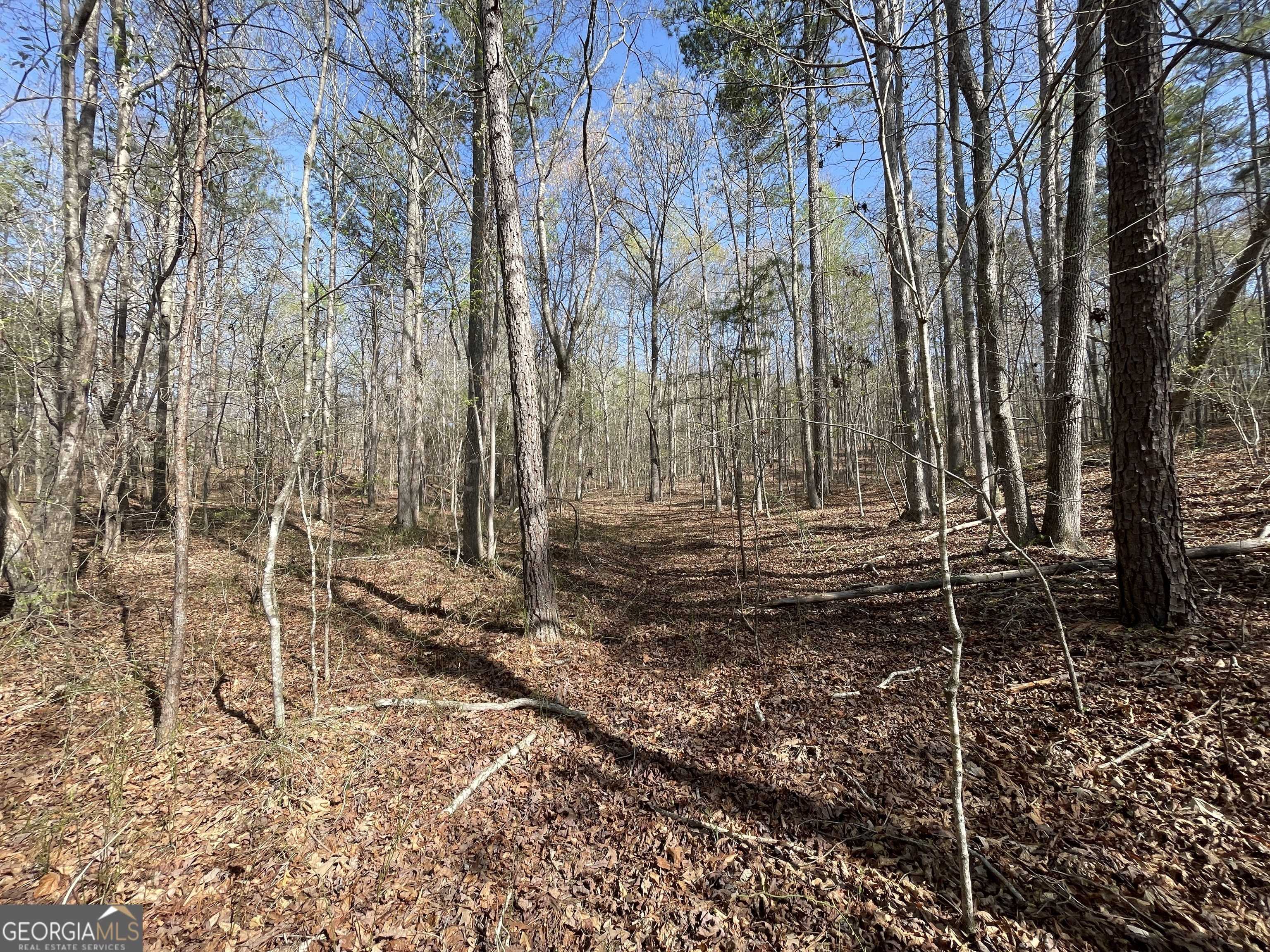 Rome, GA 30165,1174 Little Texas Valley RD NW