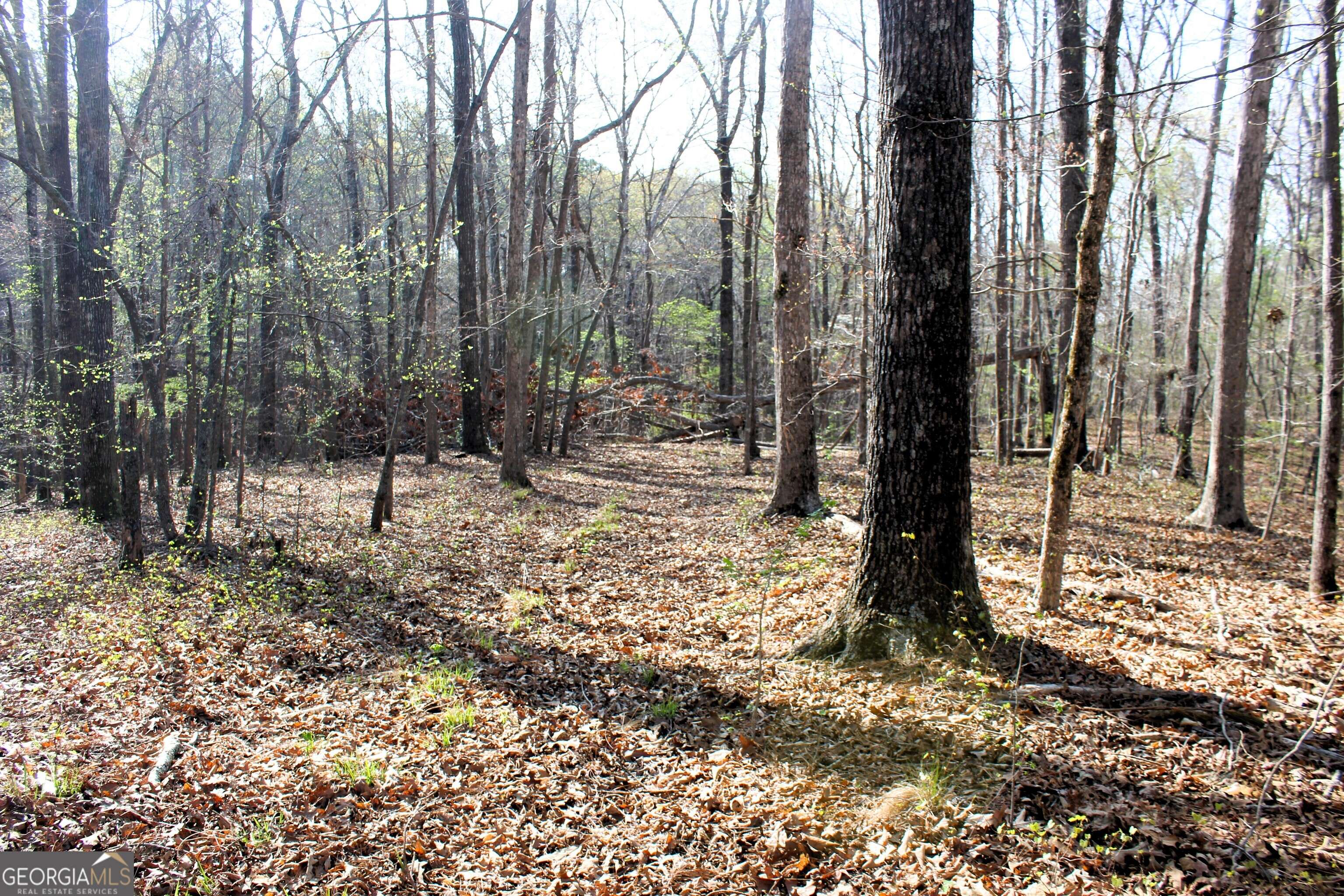 Newnan, GA 30263,0 Hendrix Rd.