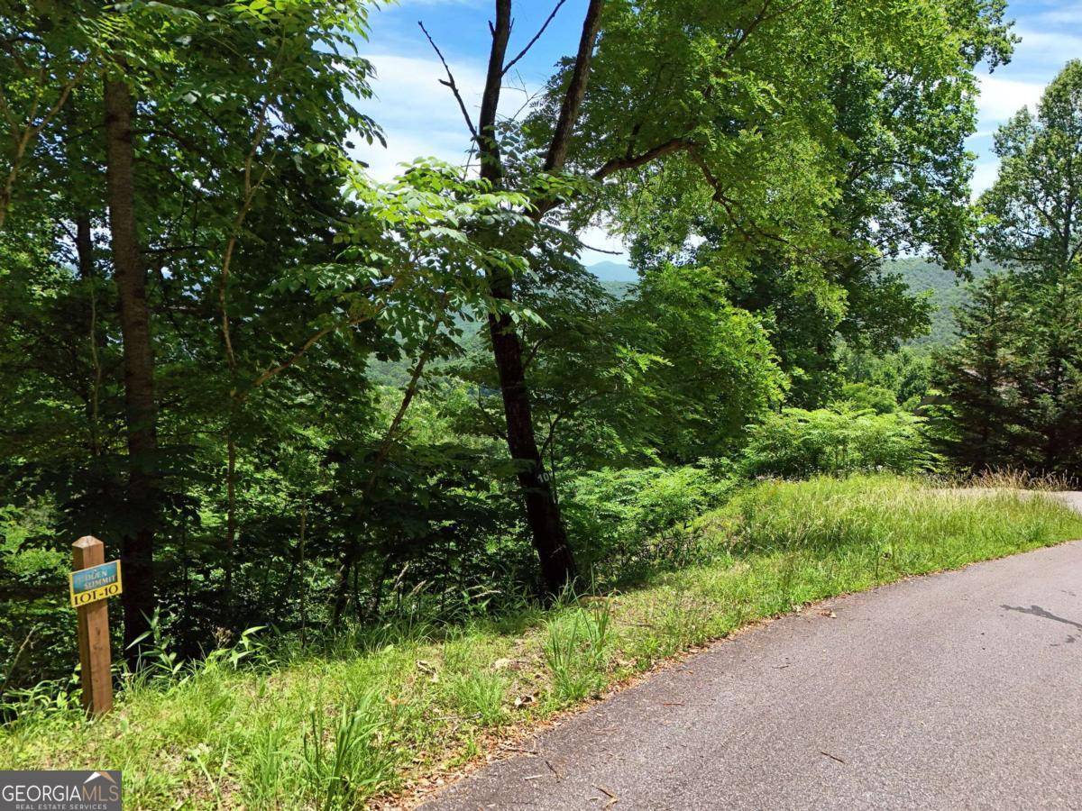 Hiawassee, GA 30546,LOT 10 Hidden Summit RD