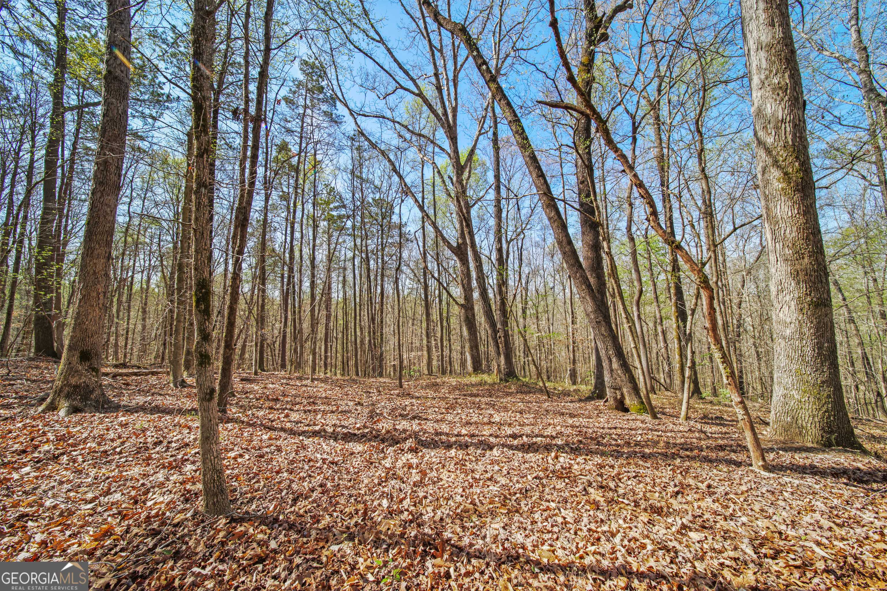 Pendergrass, GA 30567,LOT 6 Kinney Creek LN