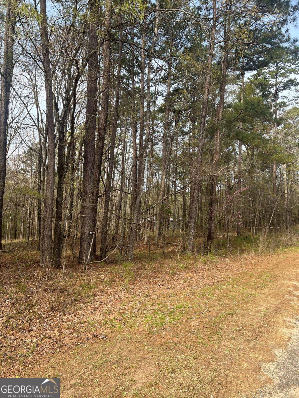 Sparta, GA 31087,L 263 Orchid WAY