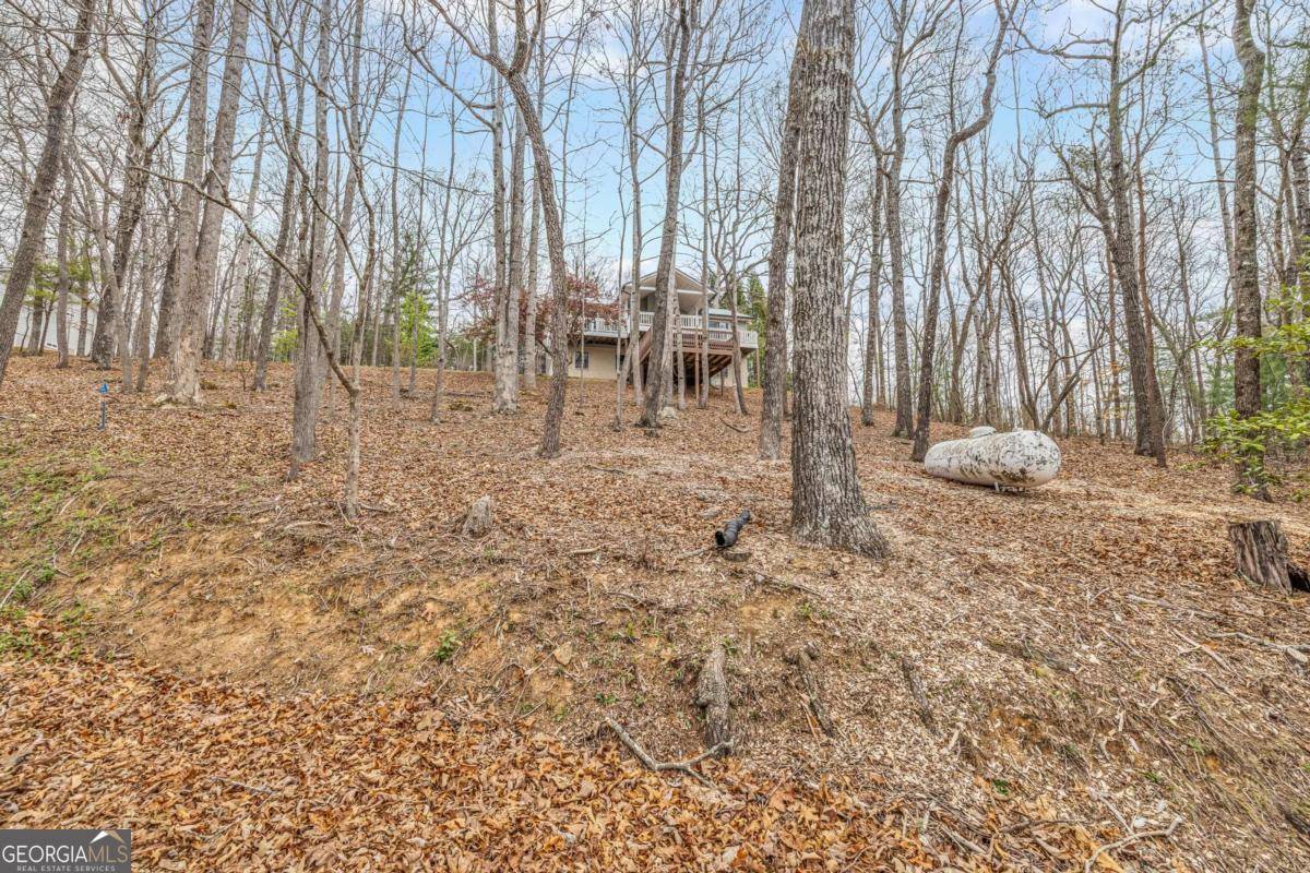 Hiawassee, GA 30546,688 Mcridge RD