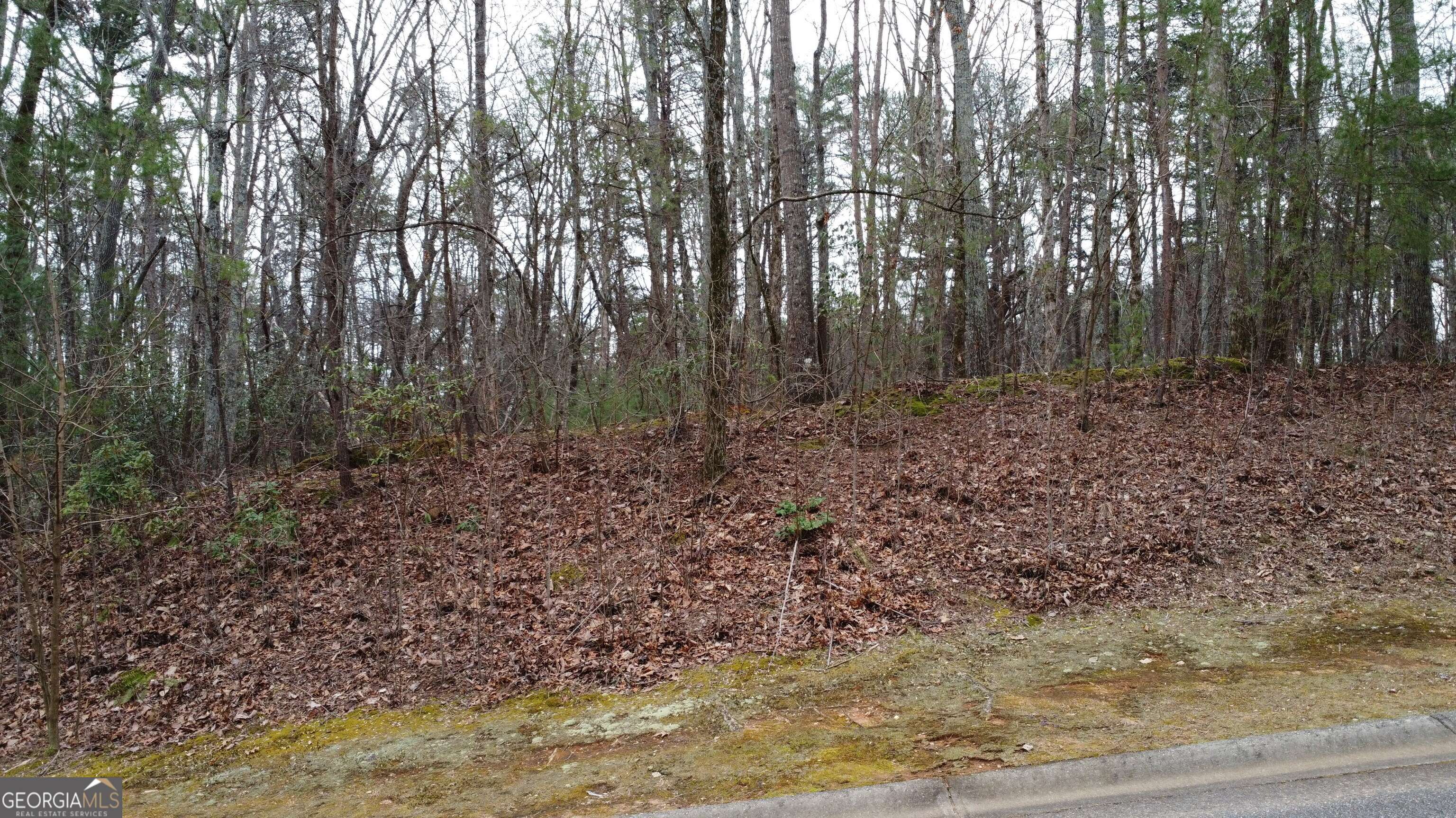 Clarkesville, GA 30523,LOT 1446 Glazenwood Dr