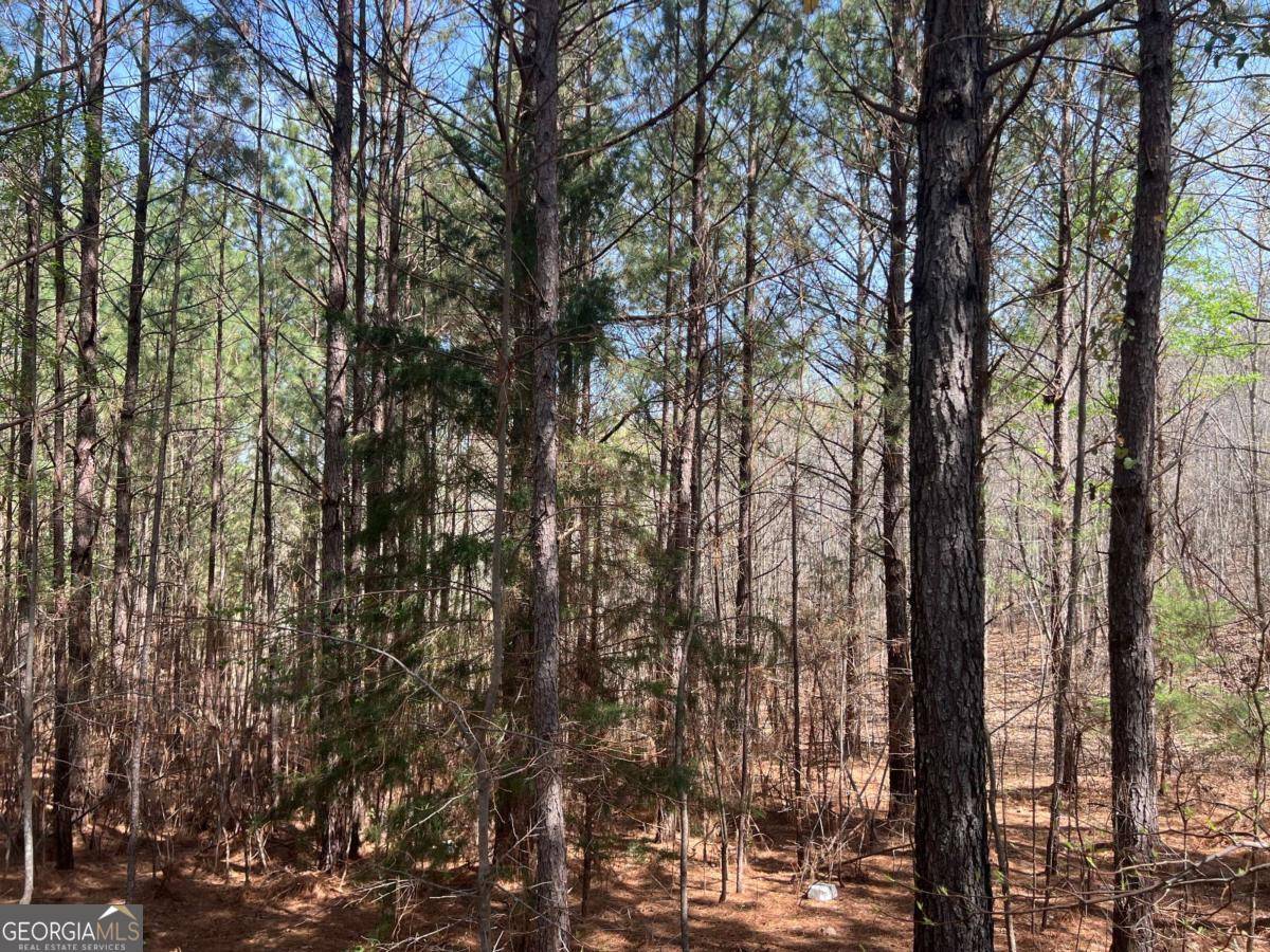 Rome, GA 30161,16 Unbridled RD #22