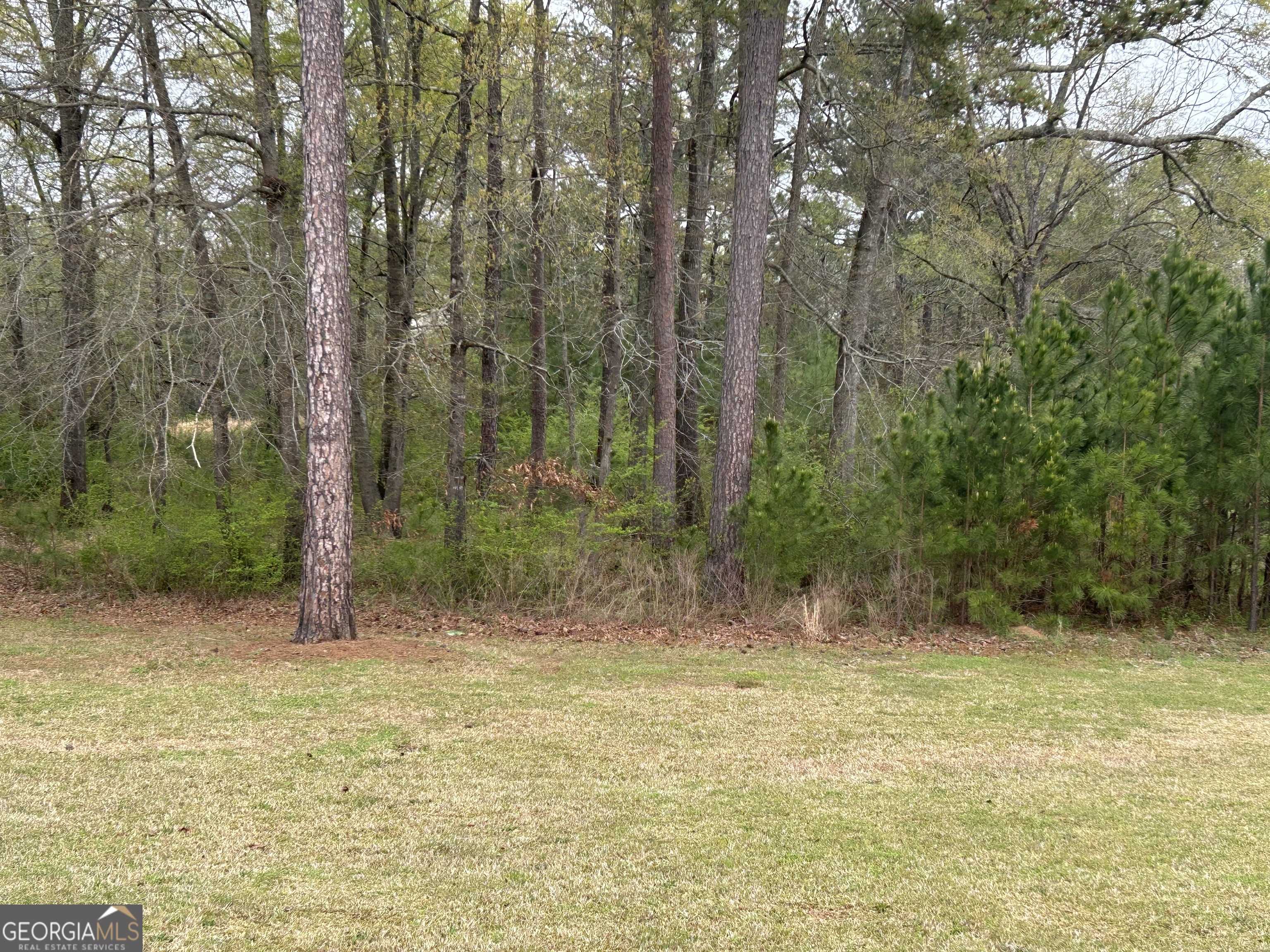 Forsyth, GA 31029,208 Chastain DR