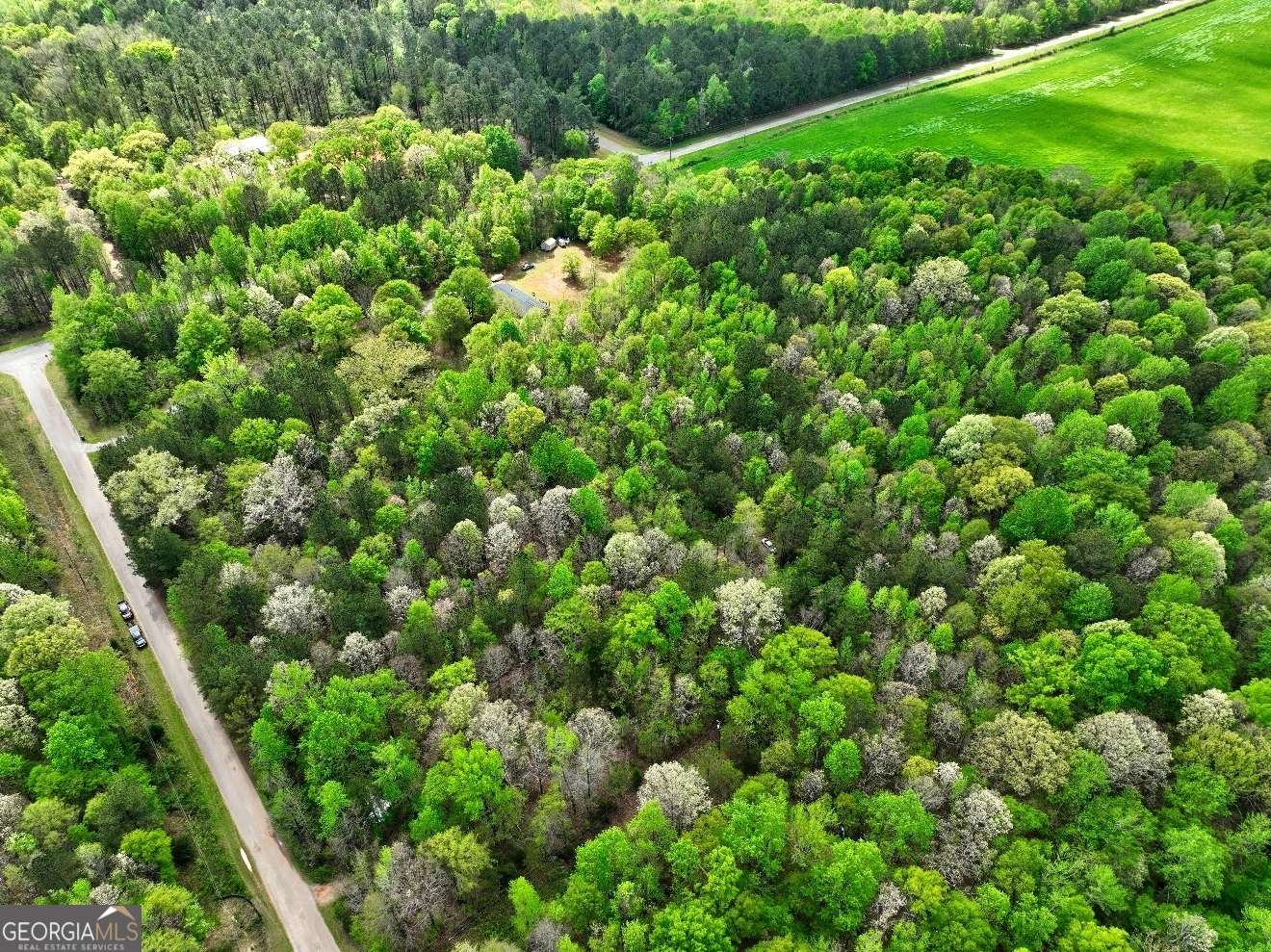 Monticello, GA 31064,LOT 18 Shady Farms Road
