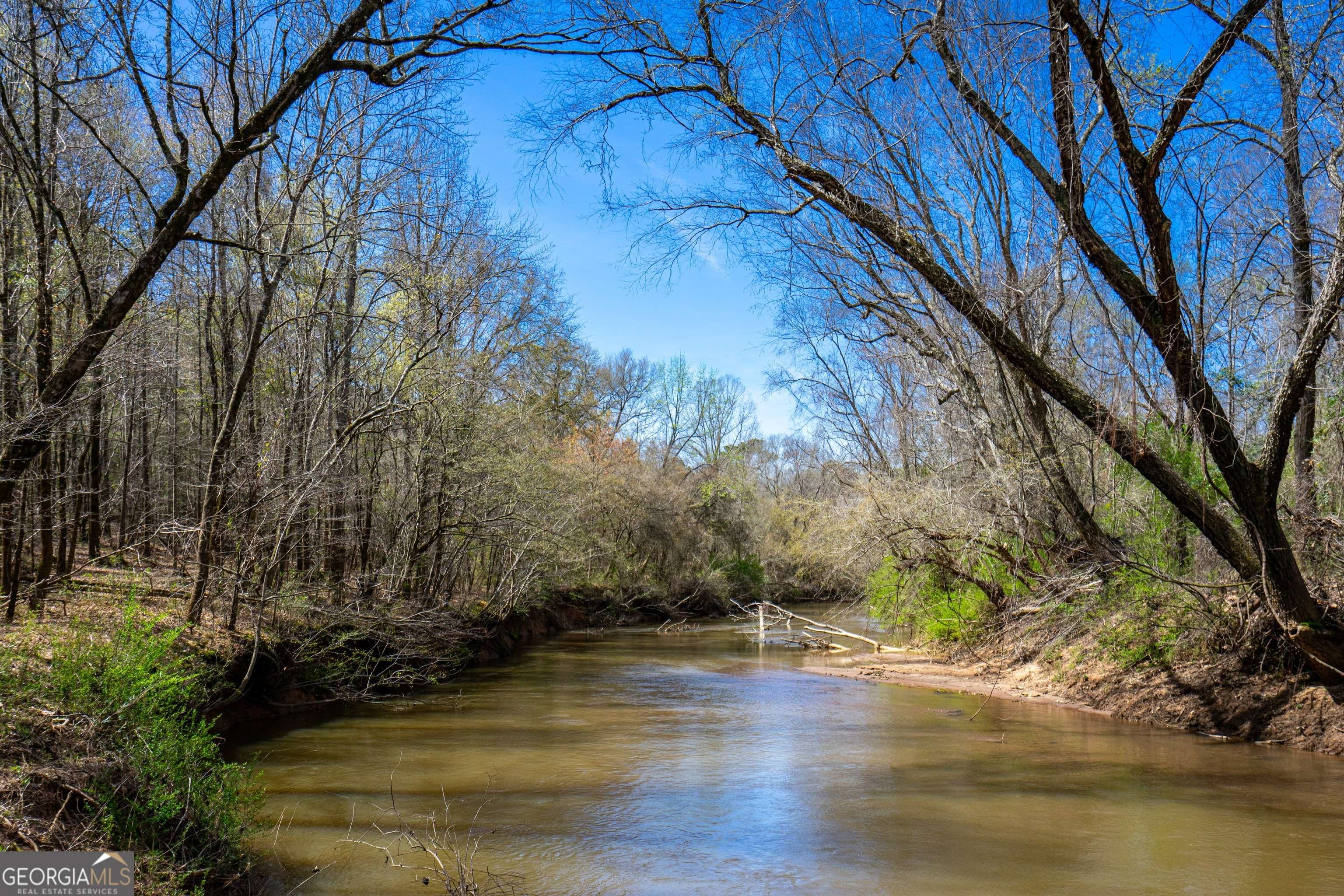Pine Mountain, GA 31822,0 Shake Rag RD #TRACT 1