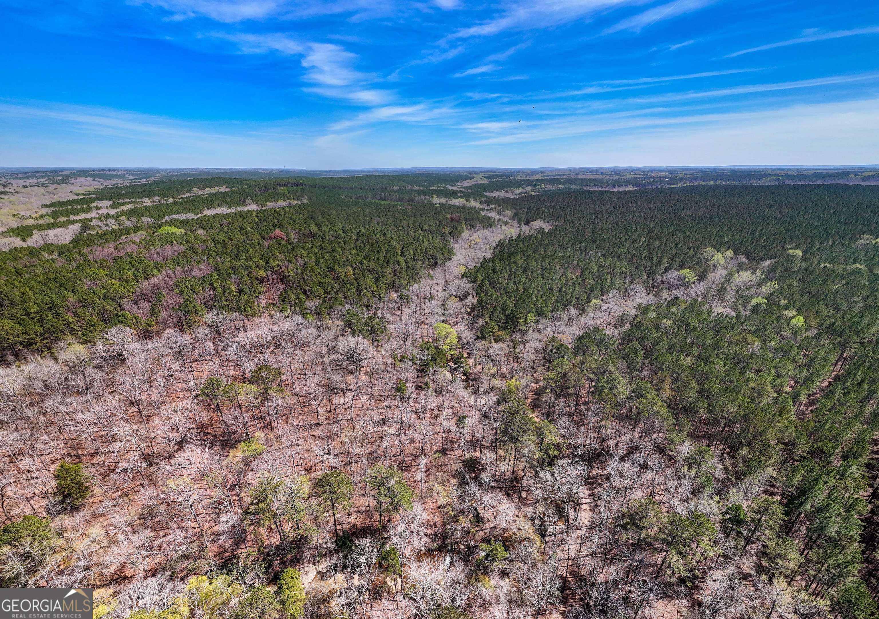 Pine Mountain, GA 31822,0 Shake Rag RD #TRACT 1
