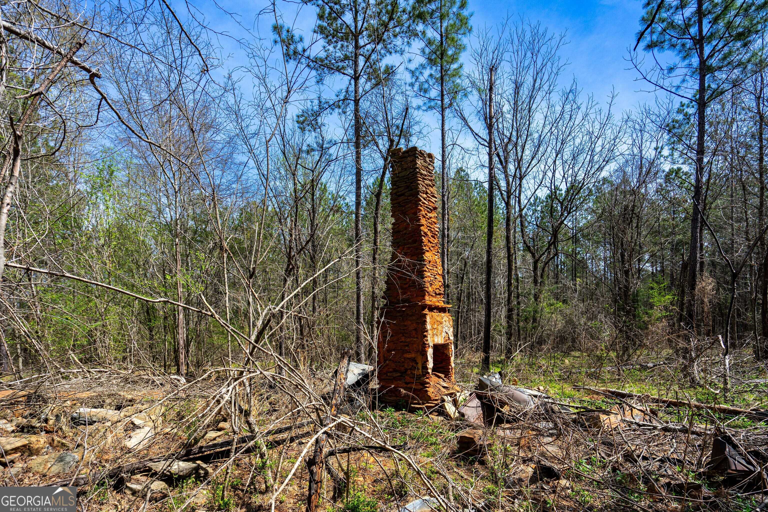 Pine Mountain, GA 31822,0 Shake Rag RD #TRACT 2