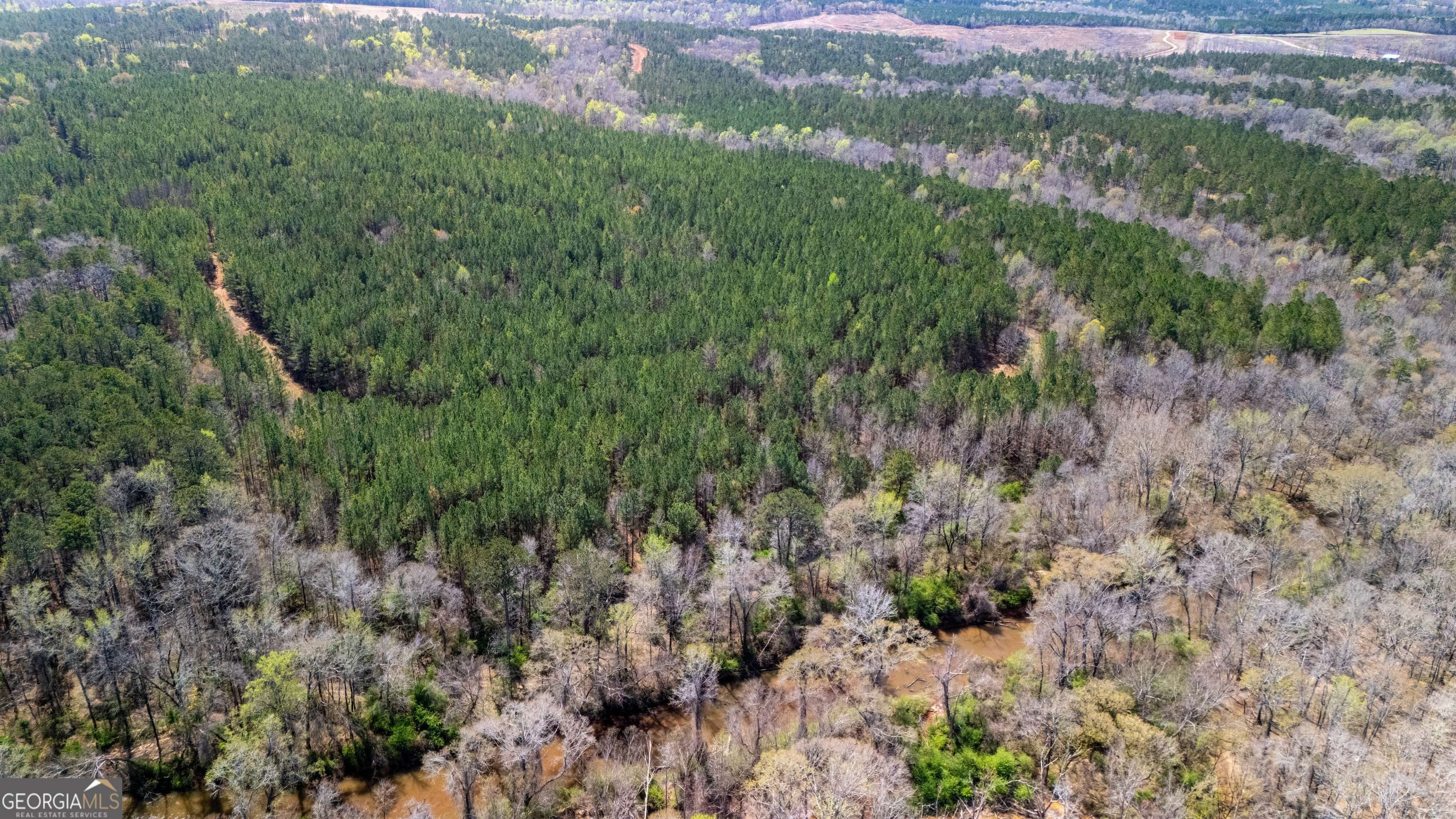 Pine Mountain, GA 31822,0 Shake Rag RD #TRACT 2