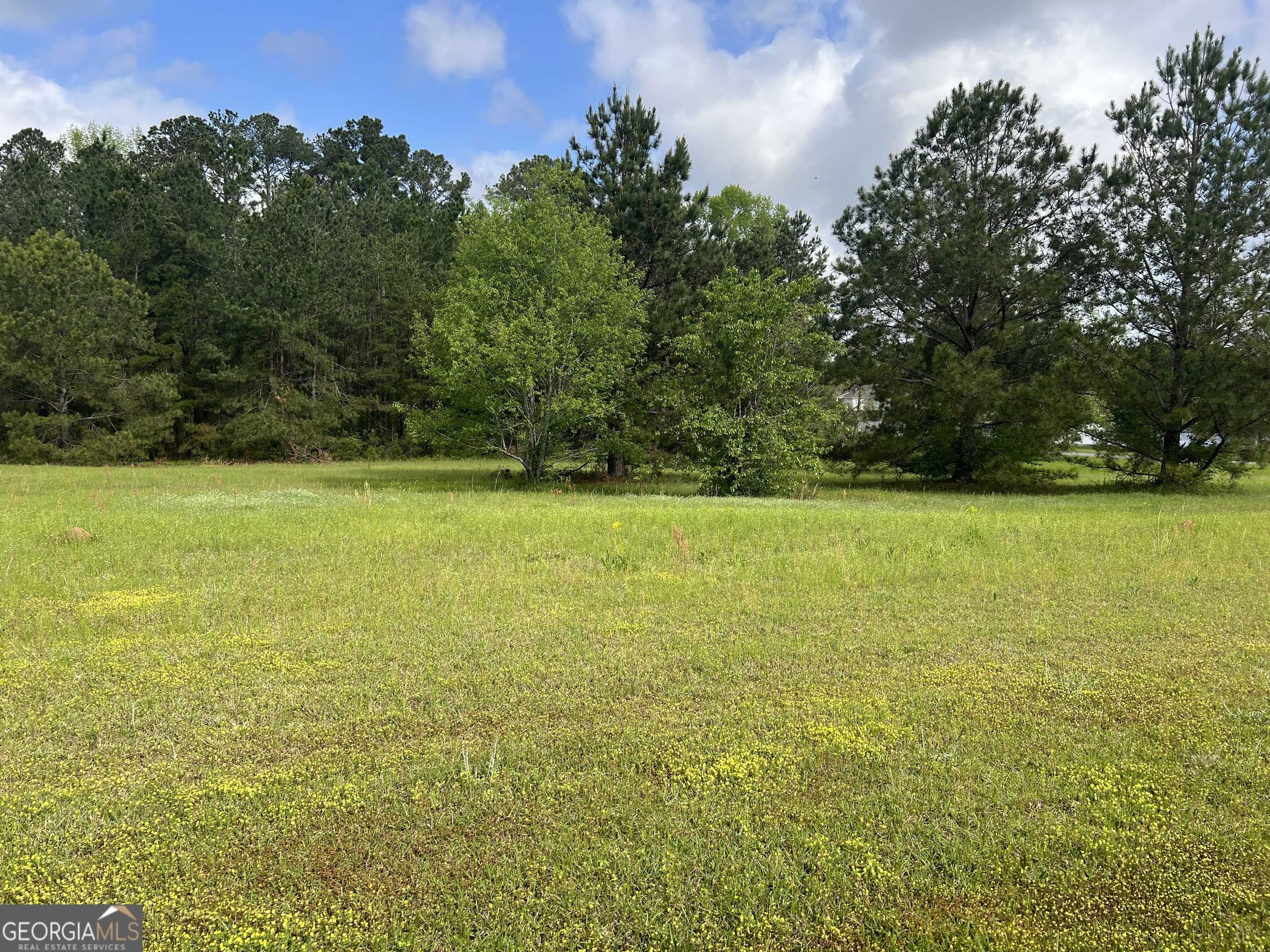 Dublin, GA 31021,0 Clyde PL