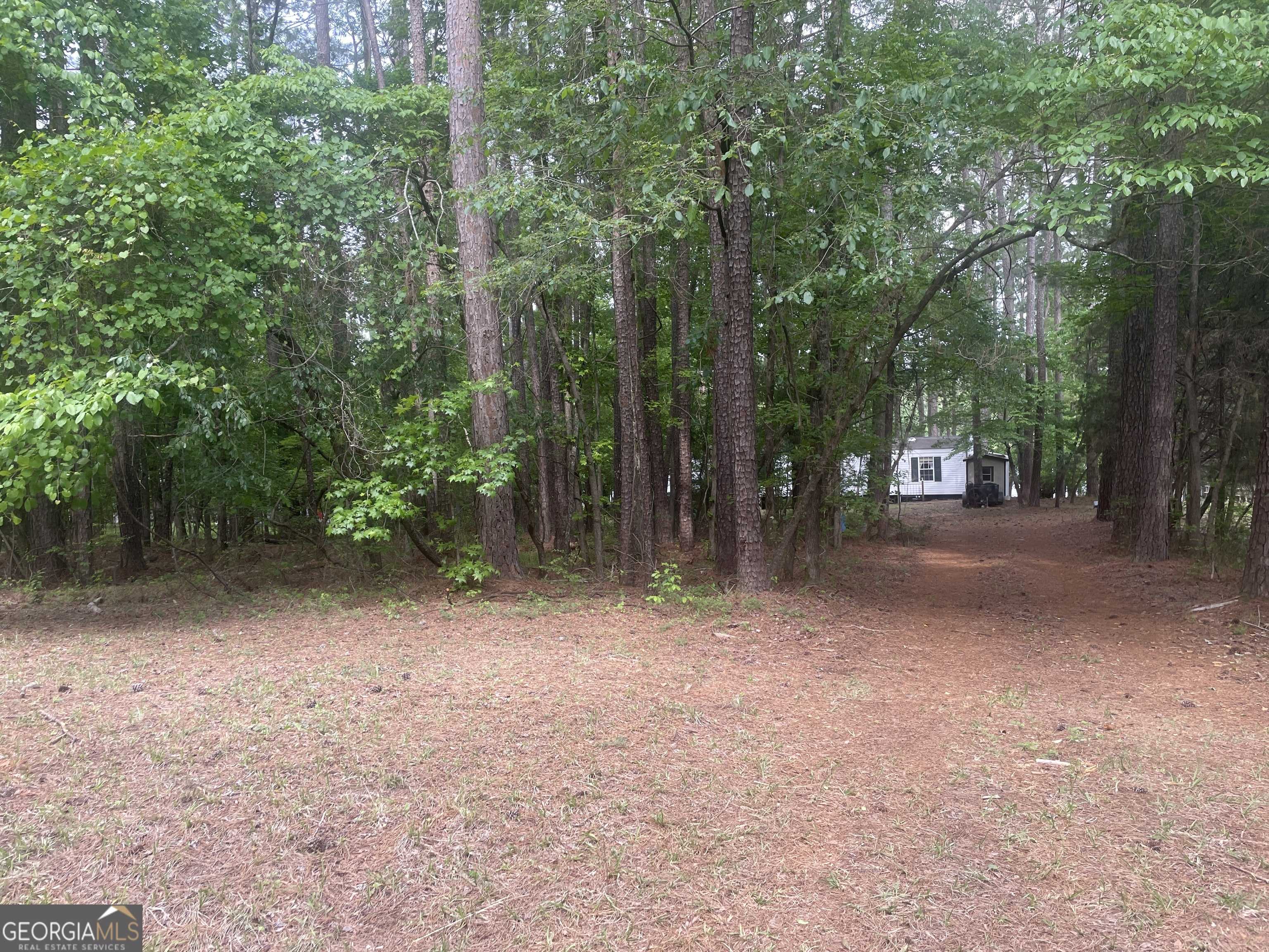 Sparta, GA 31087,223 Wildwood DR