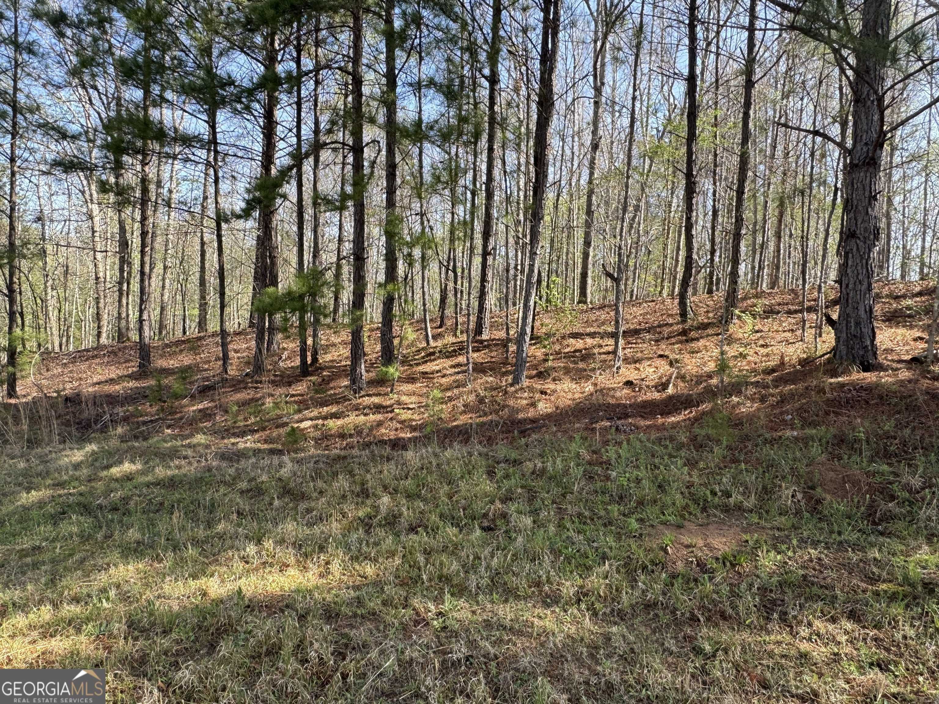 Mansfield, GA 30055,0 Wisteria LN #TRACT 1