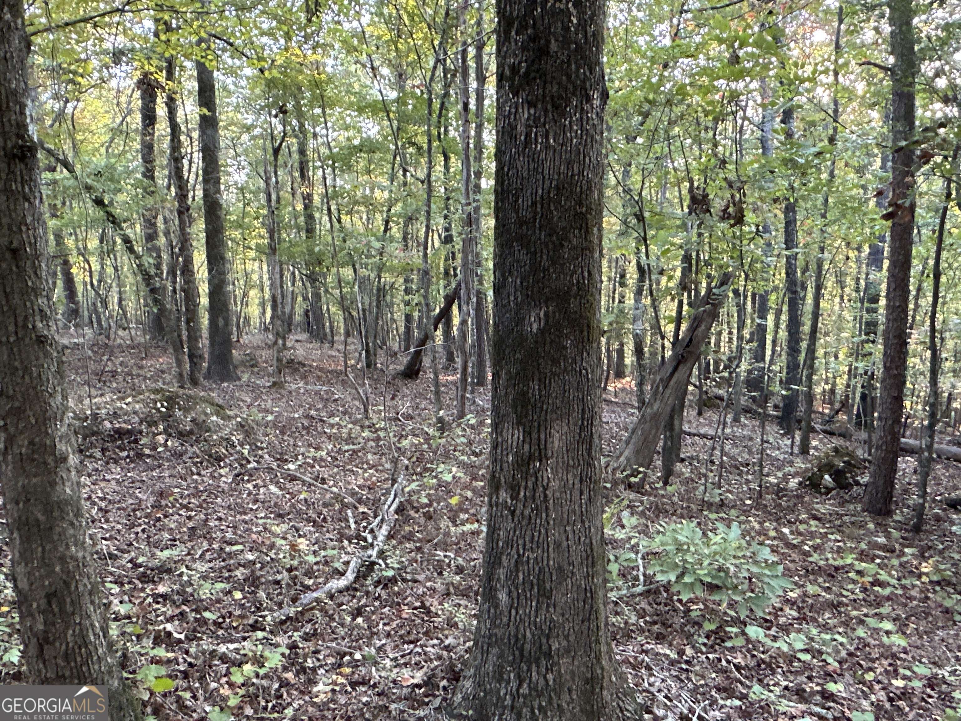 Cedartown, GA 30125,0 Prior Station RD #TRACT 4