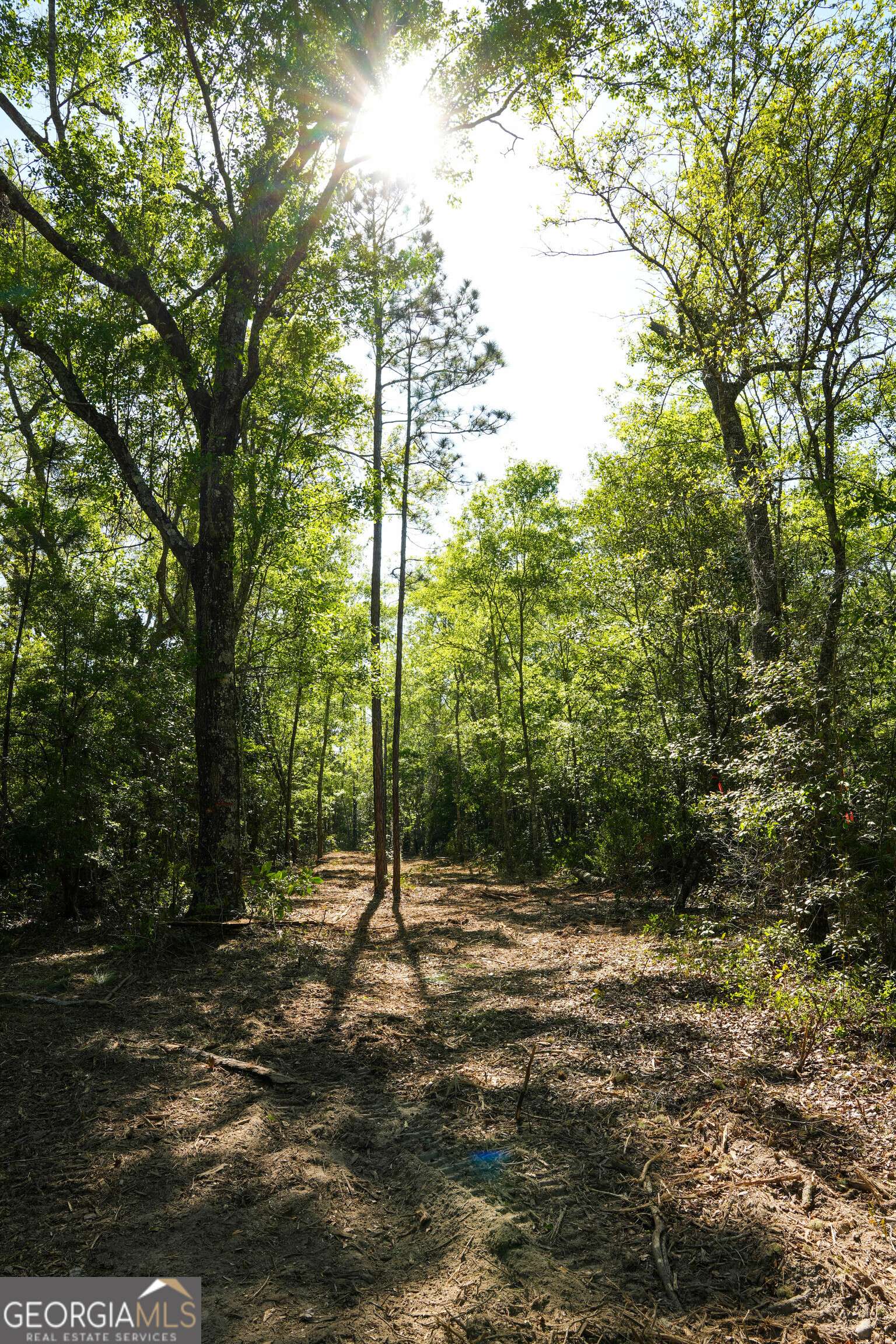Pembroke, GA 31321,0 Floyd RD #LOT 9
