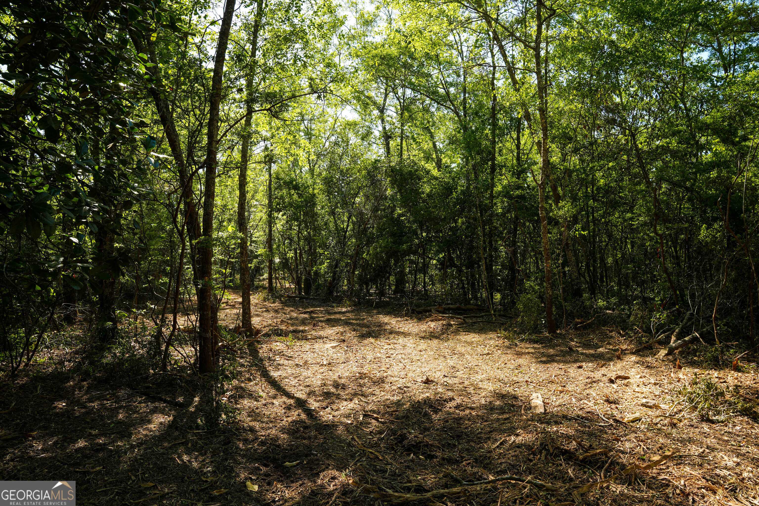Pembroke, GA 31321,0 Floyd RD #LOT 9
