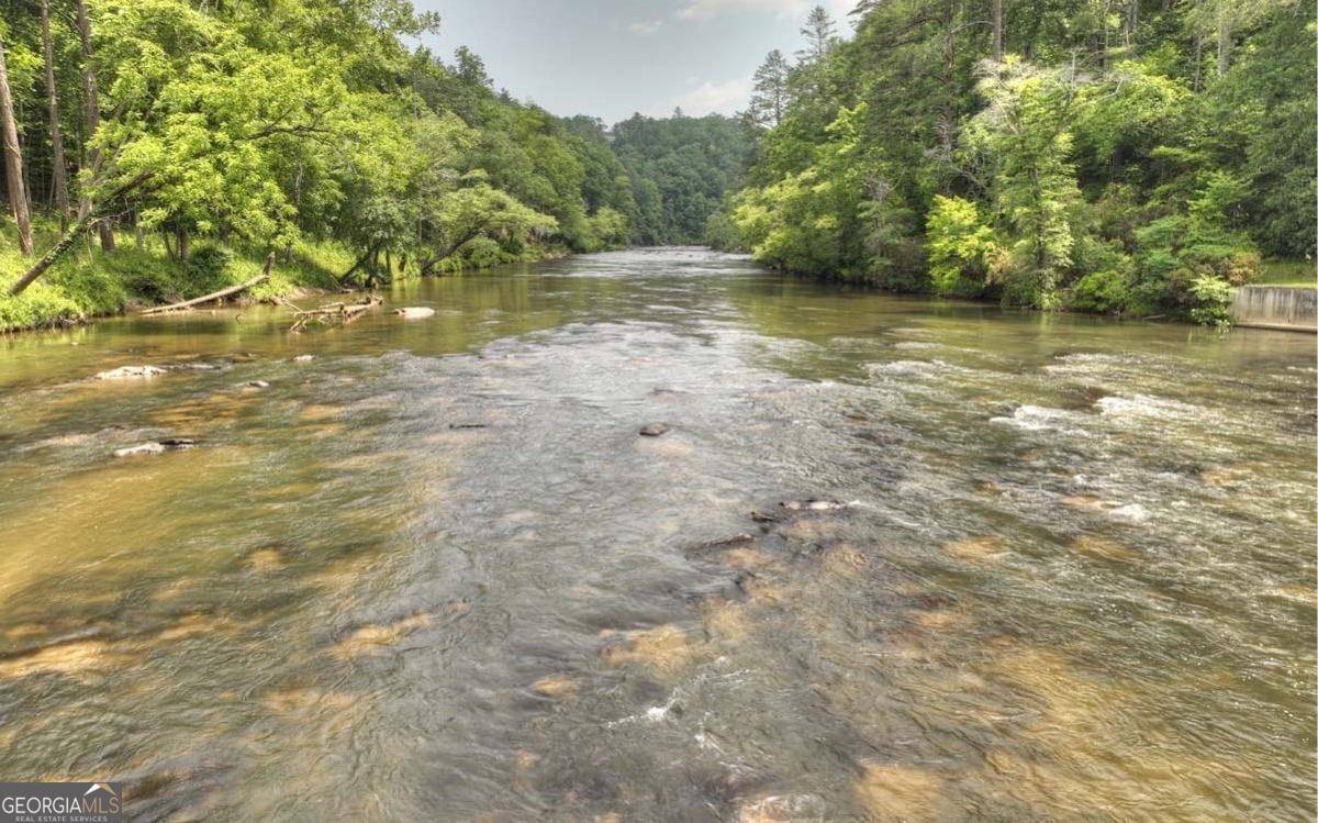 Ellijay, GA 30540,1960 High River RD