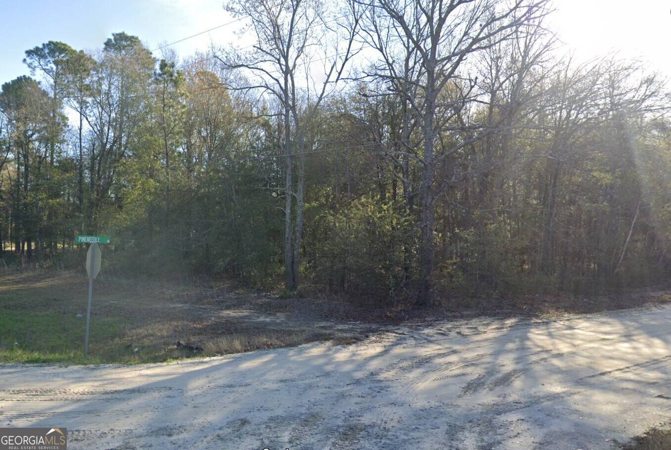 Hephzibah, GA 30815,2568 Pine Needle Road