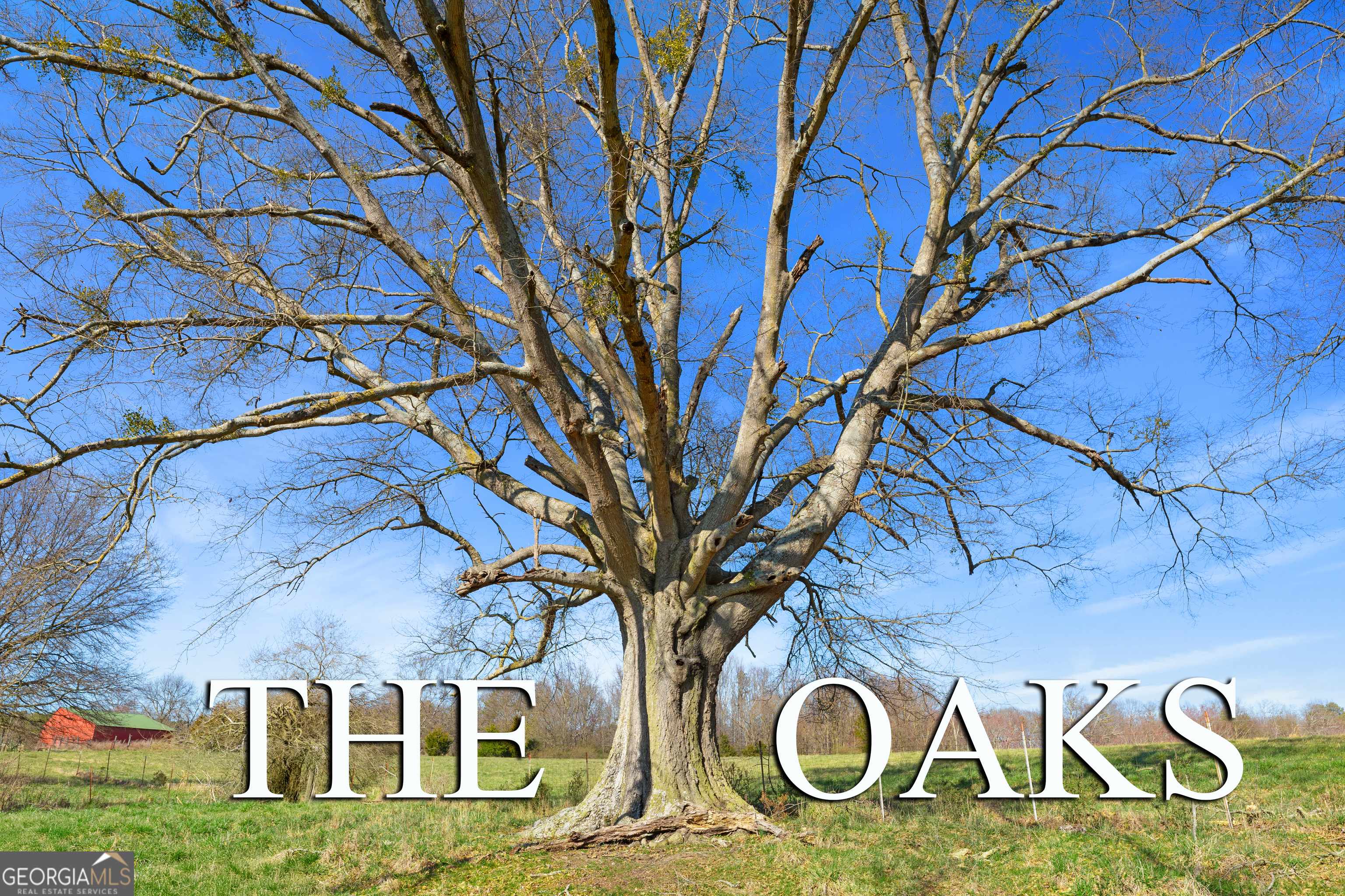 Hartwell, GA 30643,5 The Oaks DR