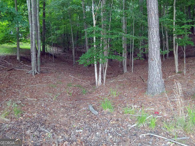 Waleska, GA 30183,149 Dogwood CT