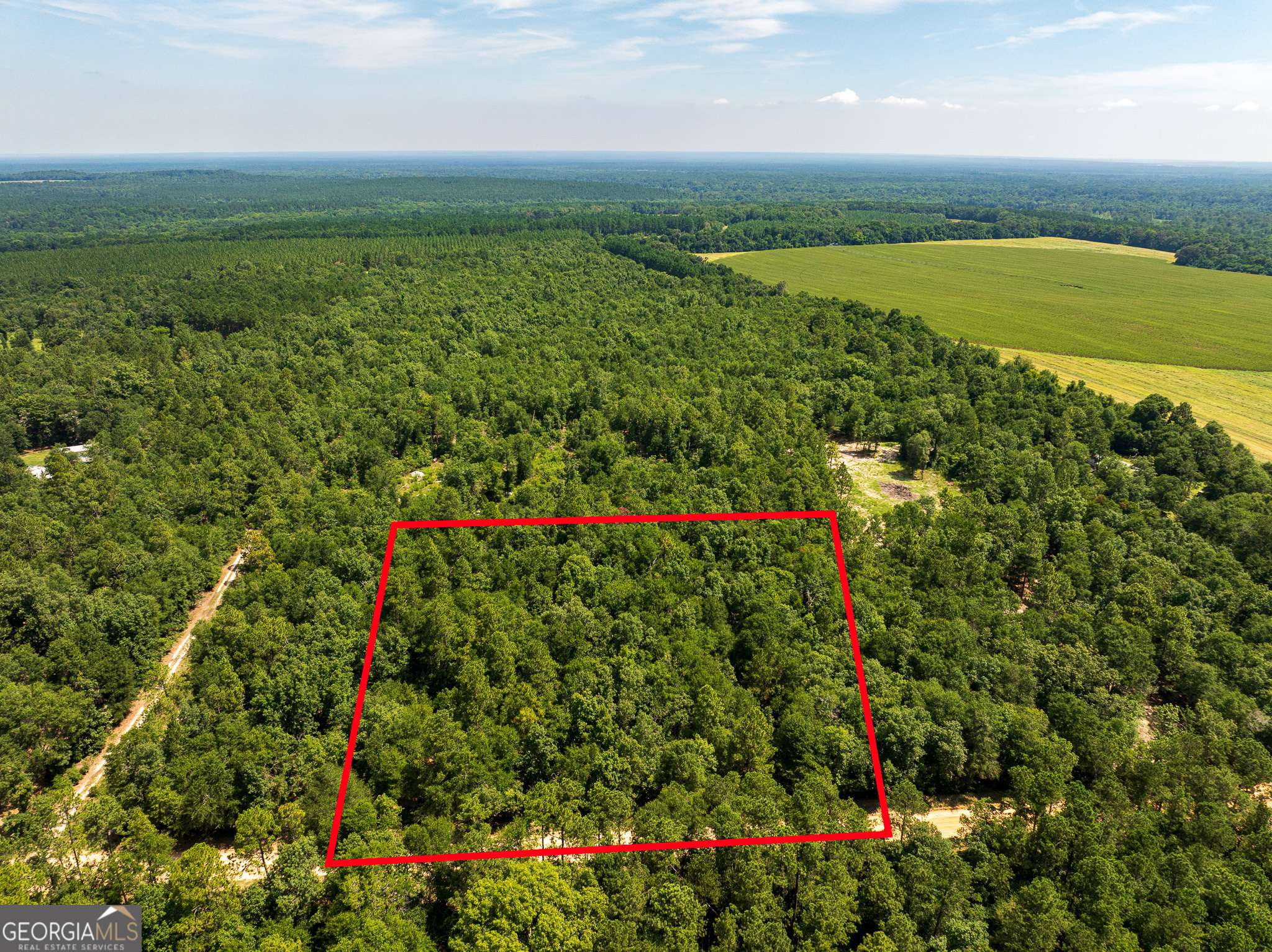 Waynesboro, GA 30830,4 ACRES Allen Chapel RD