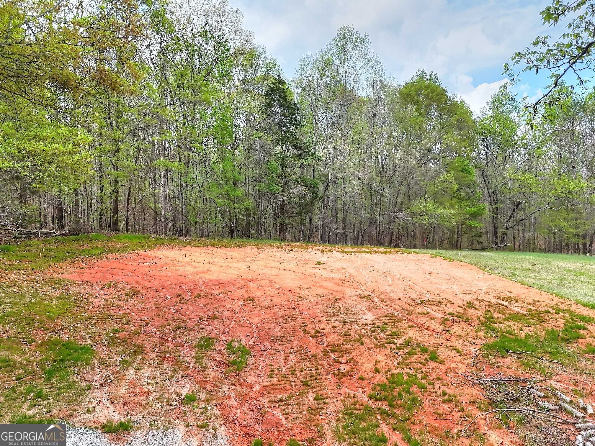 Carnesville, GA 30521,0 Falcon LN