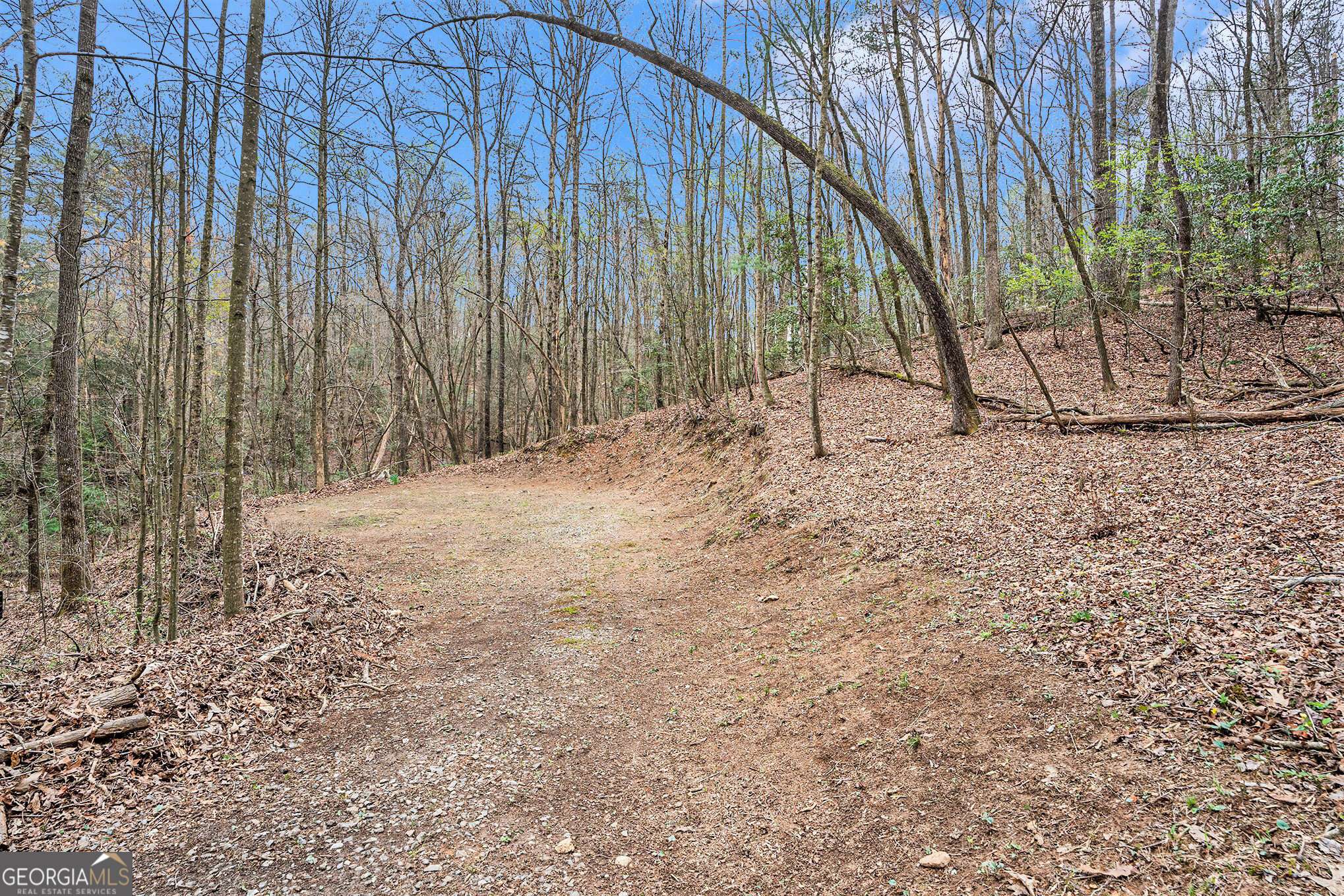Ellijay, GA 30536,LOT 29 Mountain Laurel DR