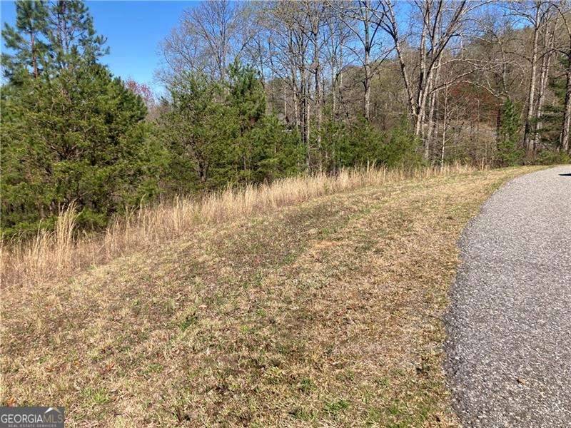 Blairsville, GA 30512,0 LOT 38 Cora's Way