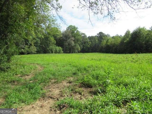 Bowdon, GA 30108,101 Winding RD #LOT 6