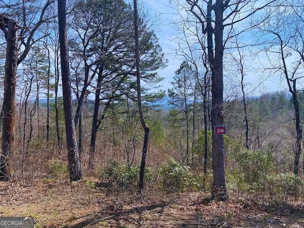 Warne, NC 28909,LOT 28 Wildflower RDG